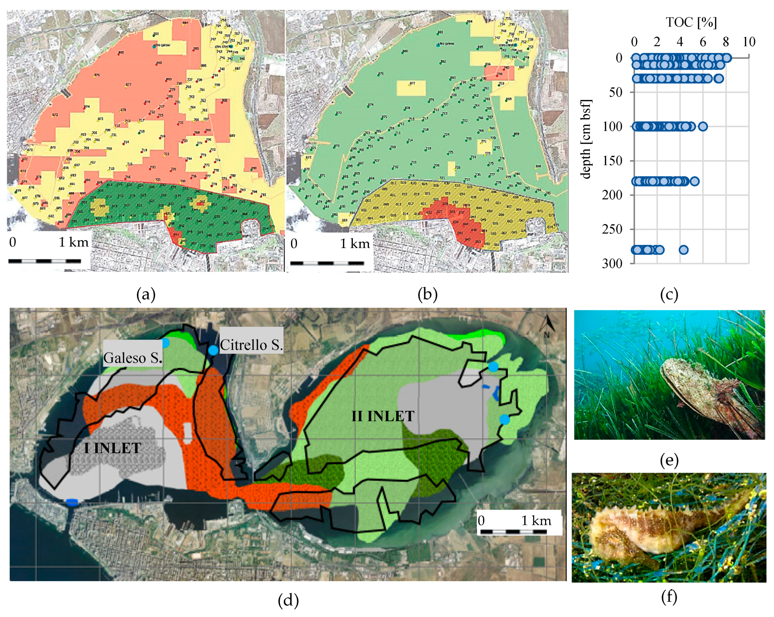 Geosciences 09 00333 g003