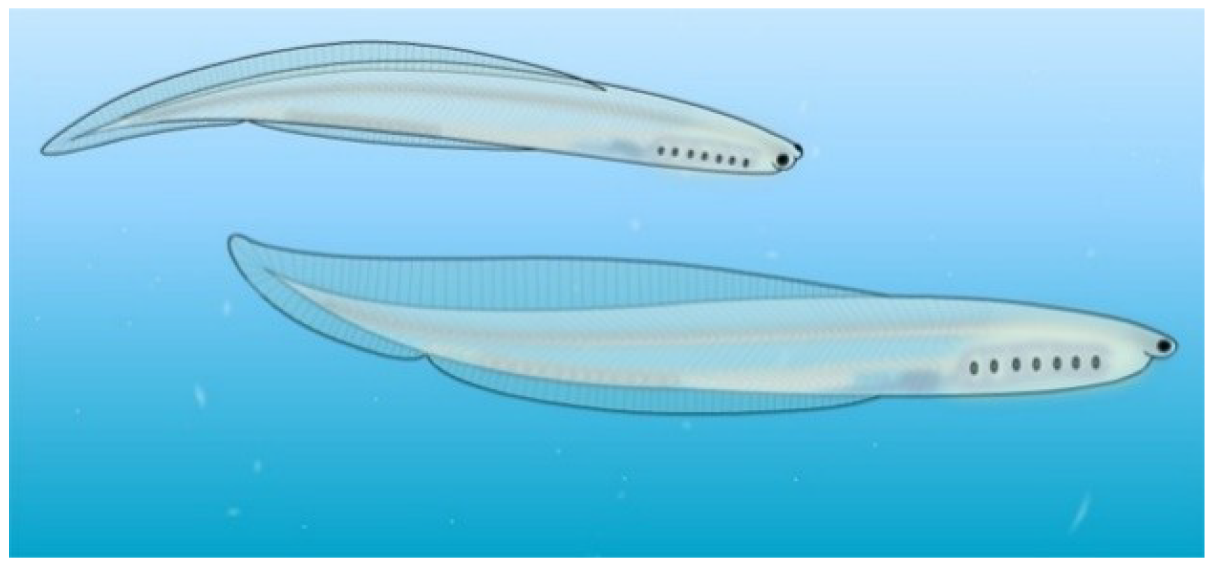 Geosciences 09 00354 g006