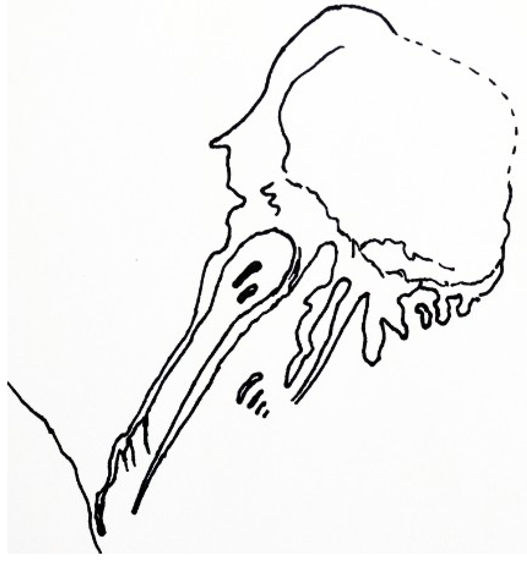 Geosciences 09 00354 g018