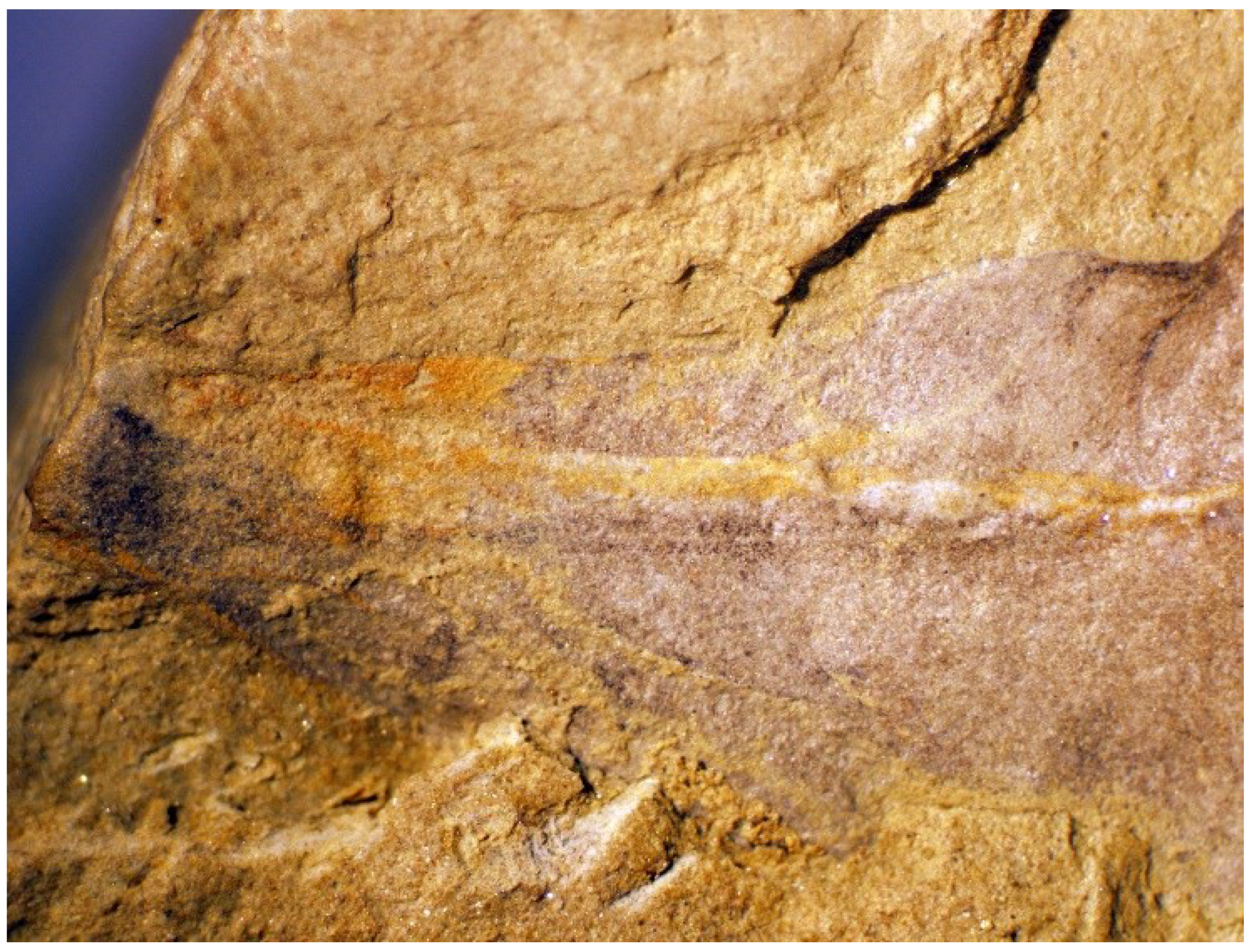 Geosciences 09 00354 g022