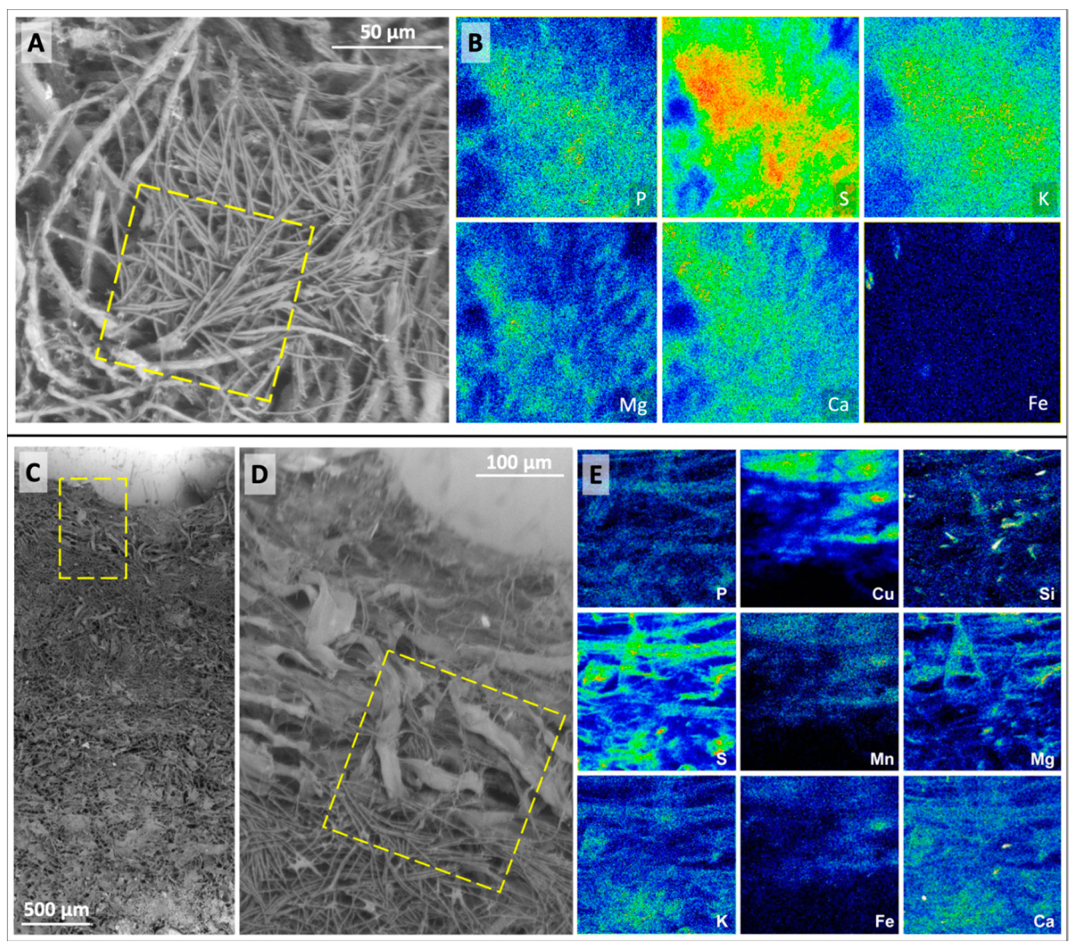 Geosciences 09 00359 g004