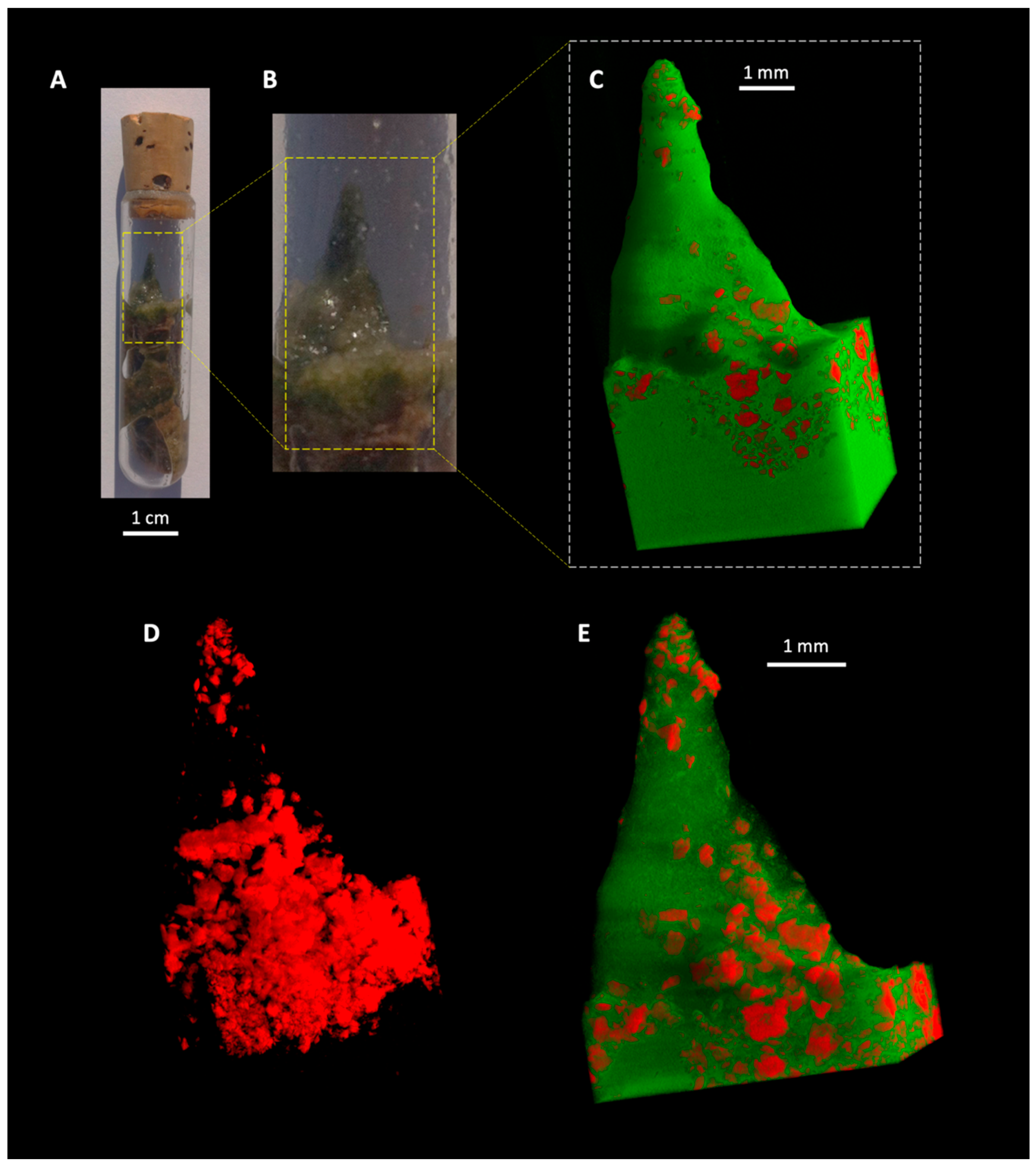 Geosciences 09 00359 g006