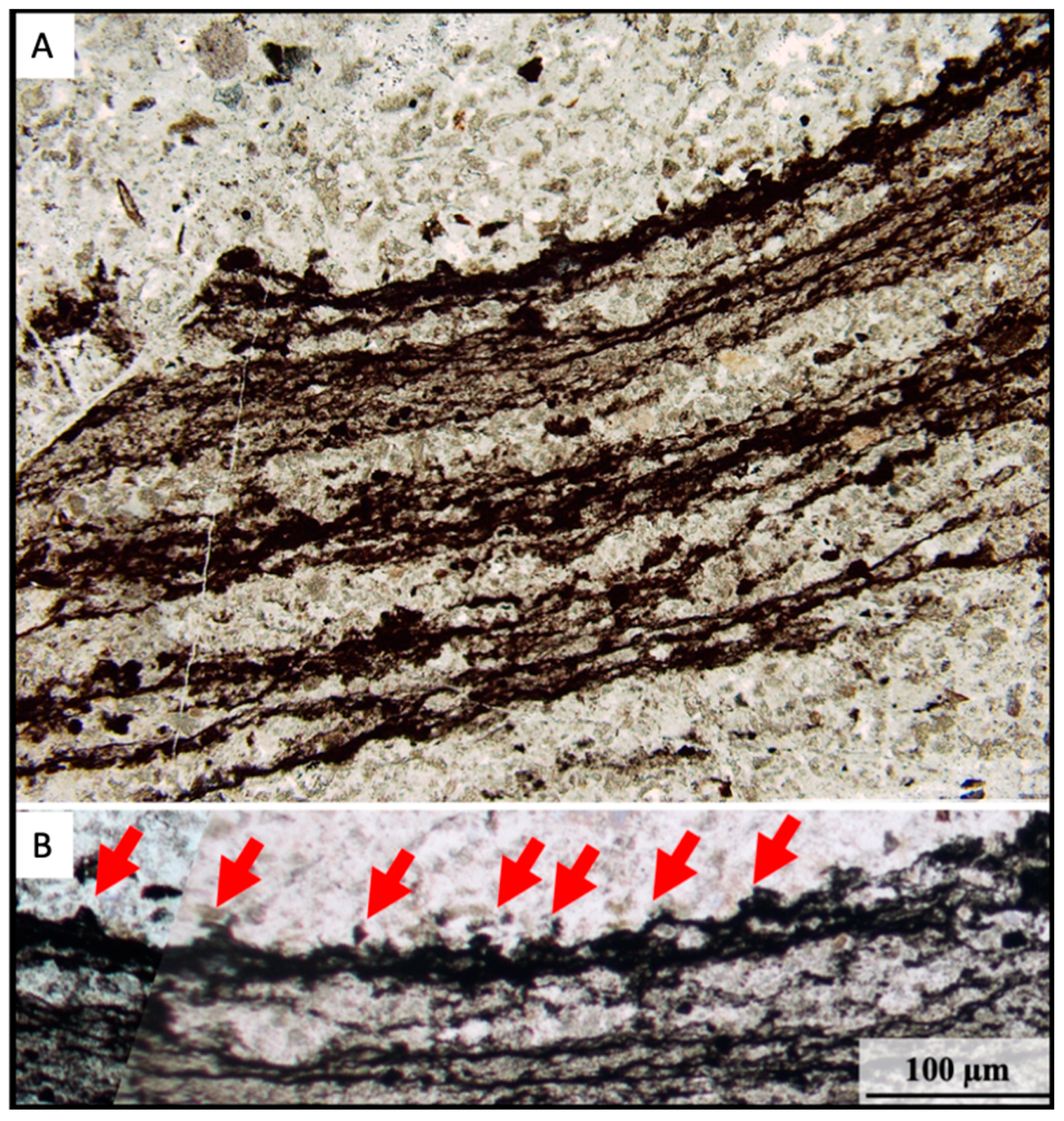 Geosciences 09 00359 g008
