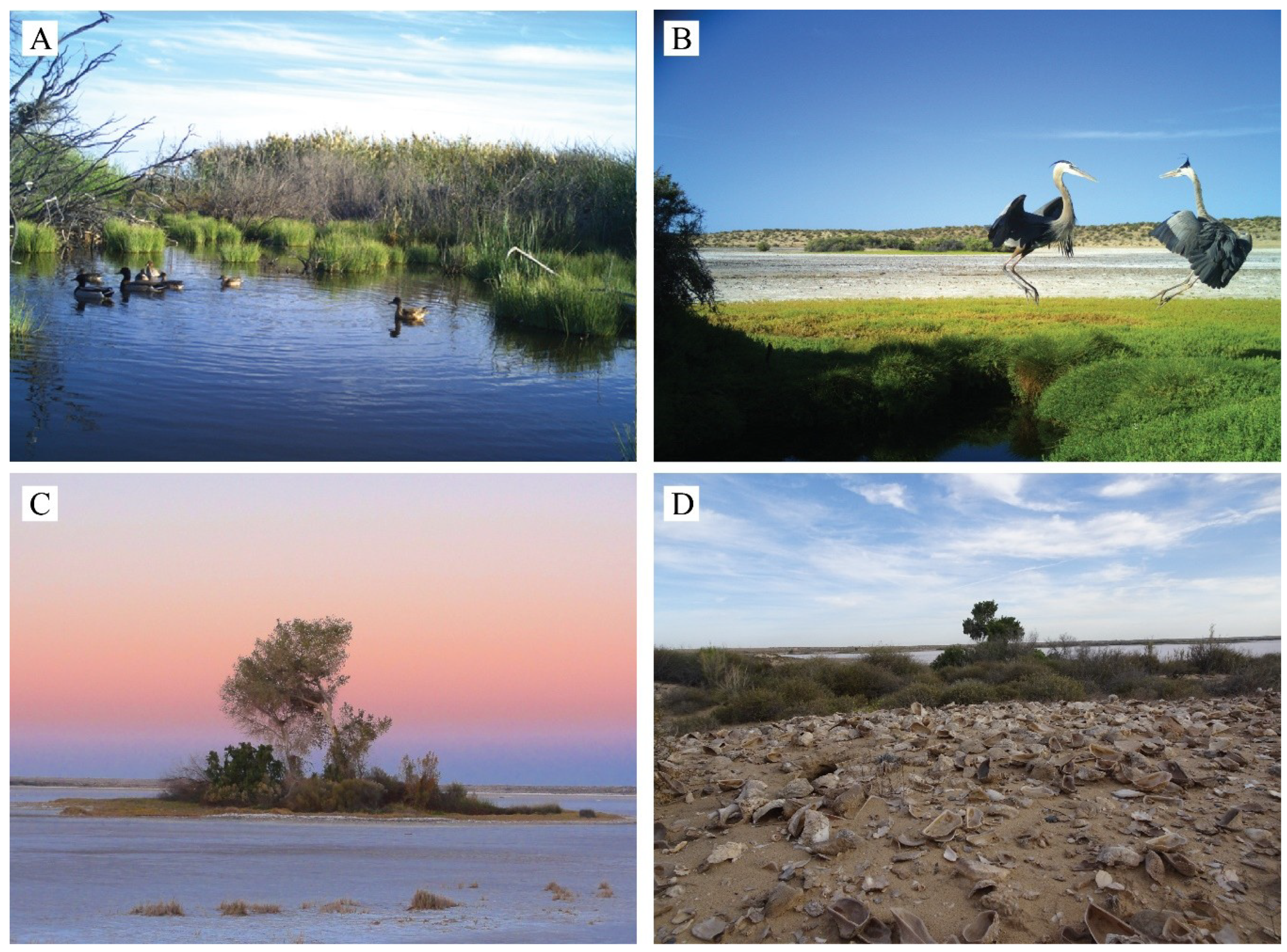 Geosciences 09 00378 g002