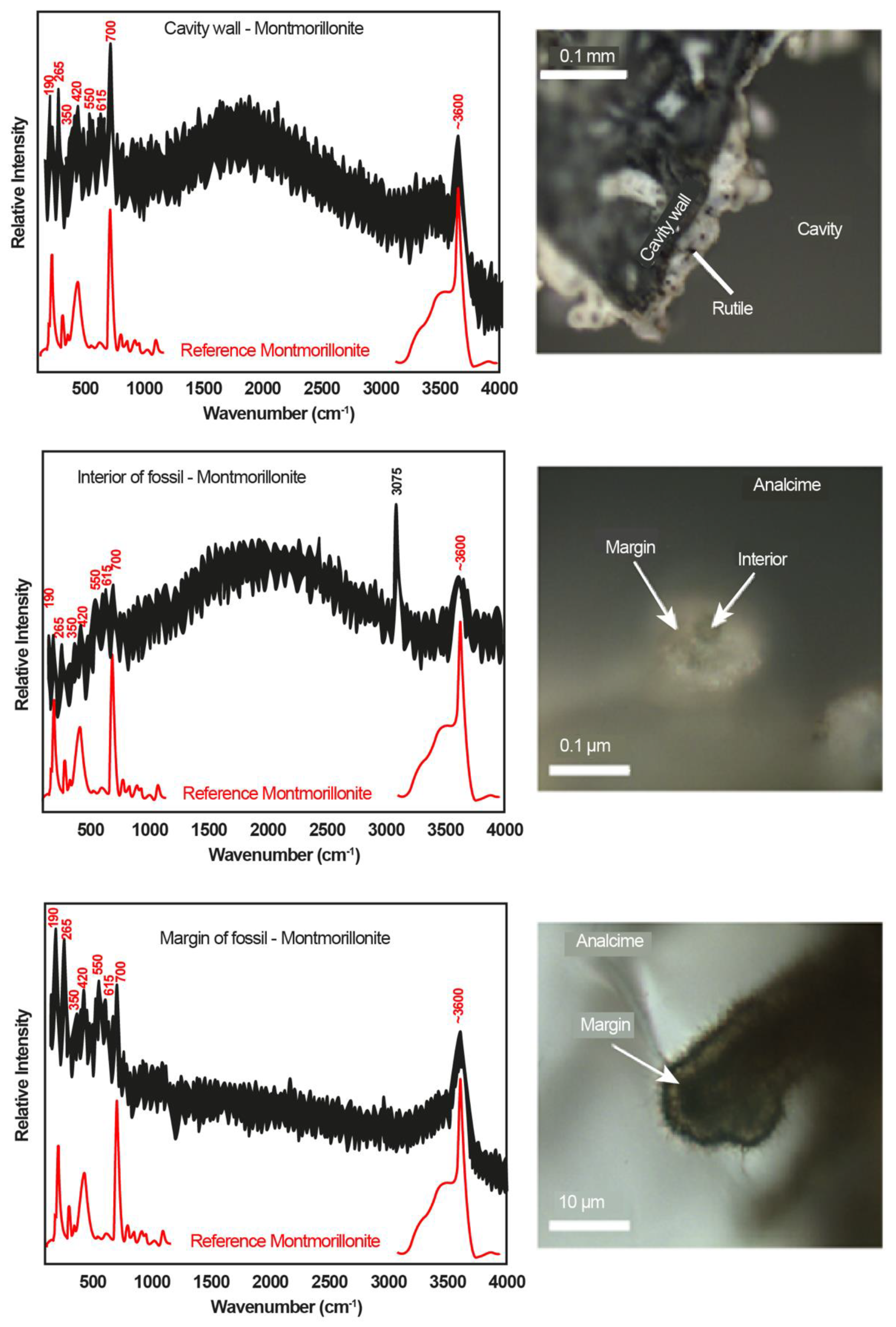 Geosciences 09 00456 g005 Geosciences 09 00456 g005