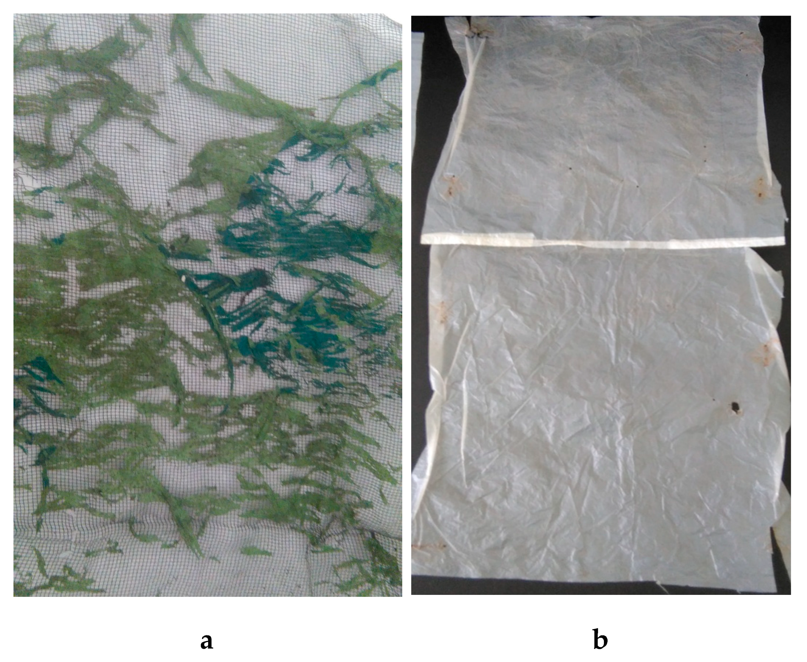 Geosciences 09 00460 g008 Geosciences 09 00460 g008