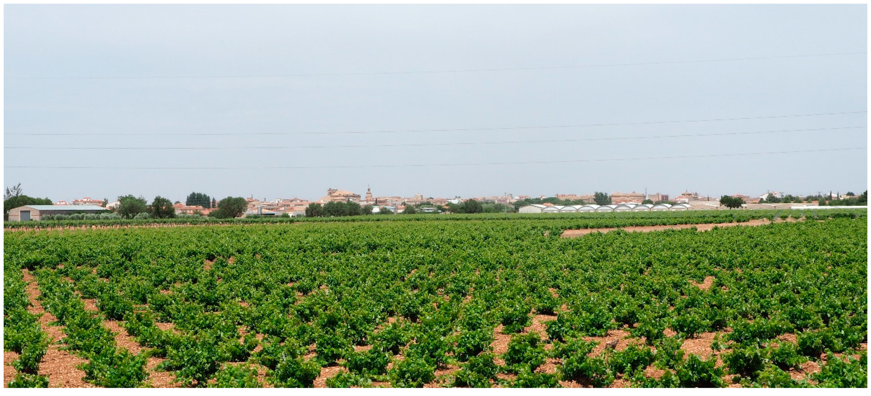 Geosciences 09 00472 g003 Geosciences 09 00472 g003