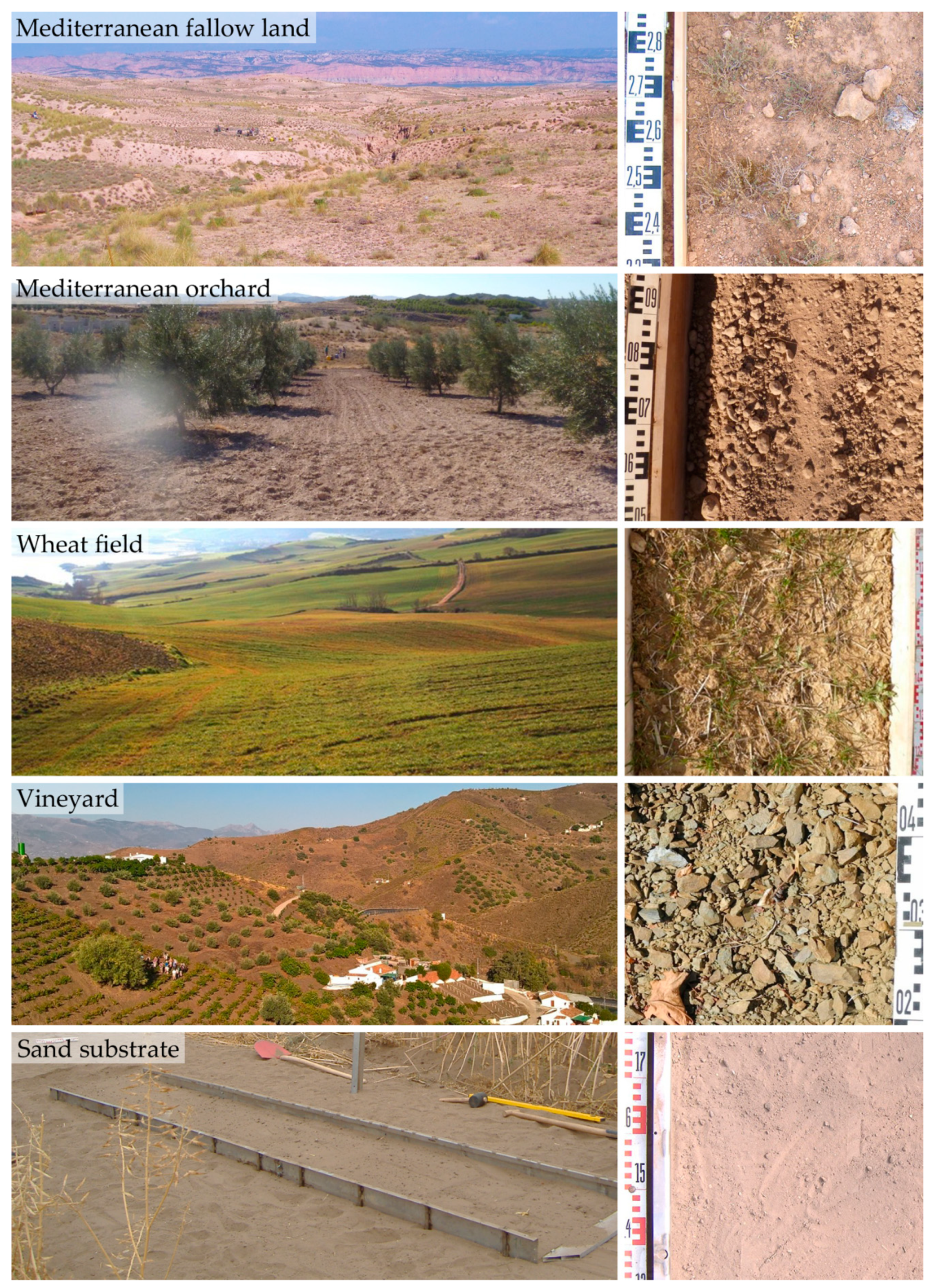 Geosciences 09 00478 g001