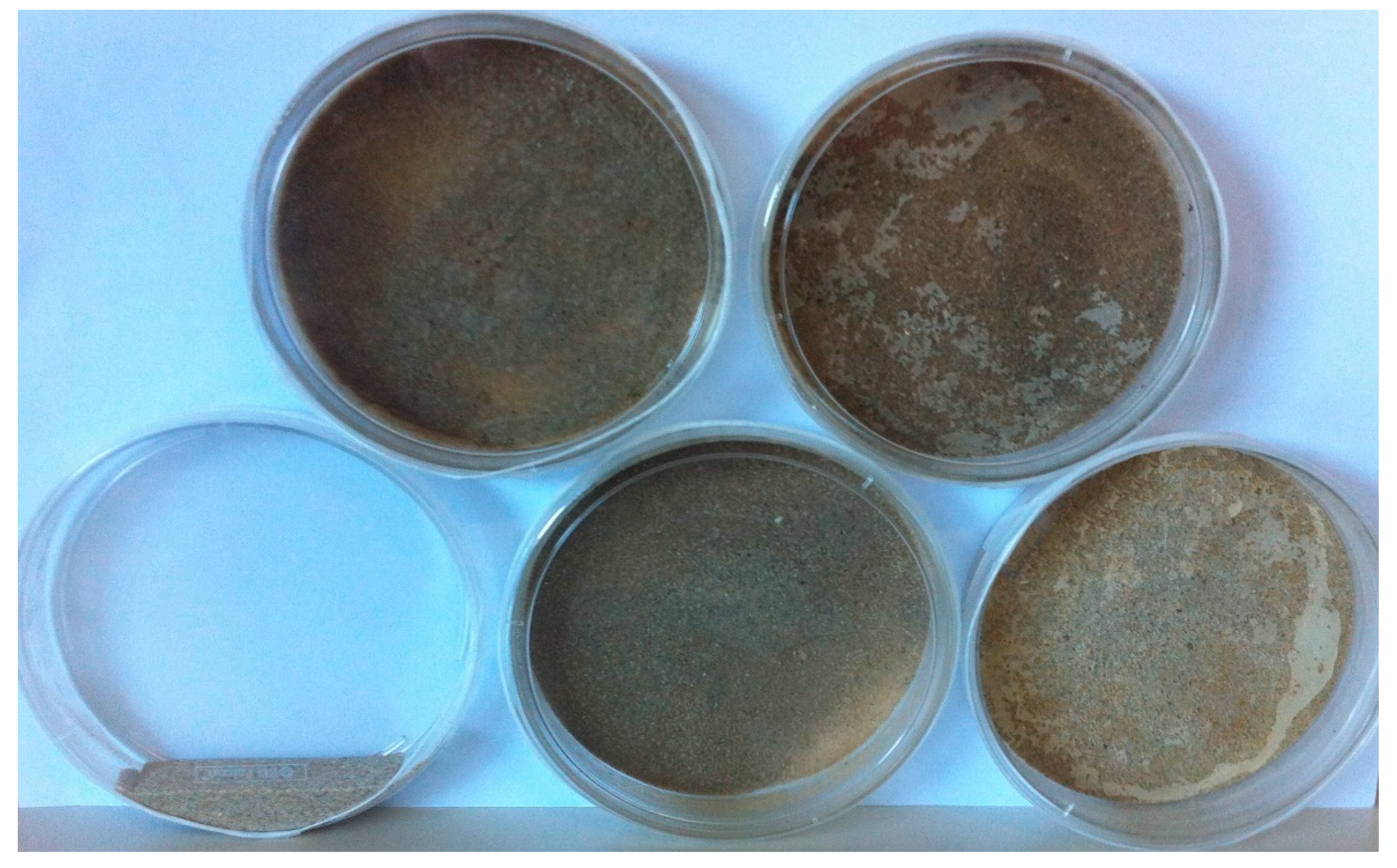 Geosciences 09 00479 g006 Geosciences 09 00479 g006