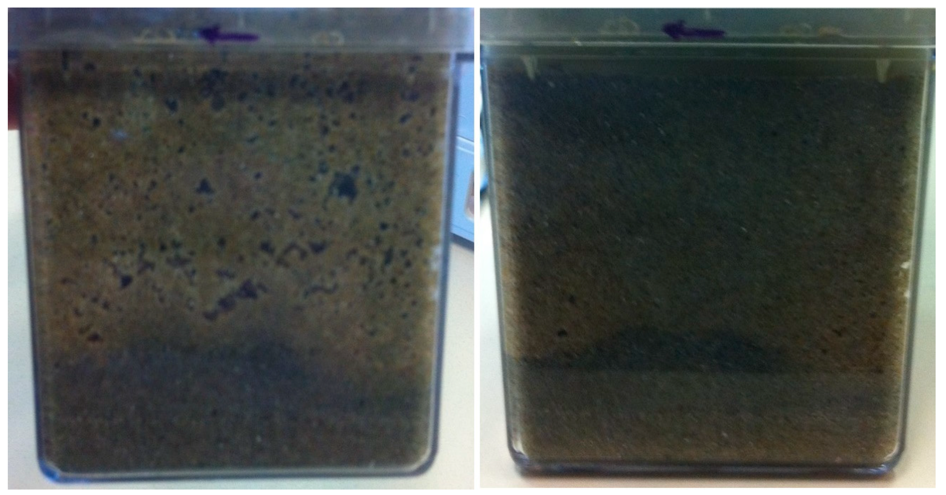 Geosciences 09 00479 g007 Geosciences 09 00479 g007