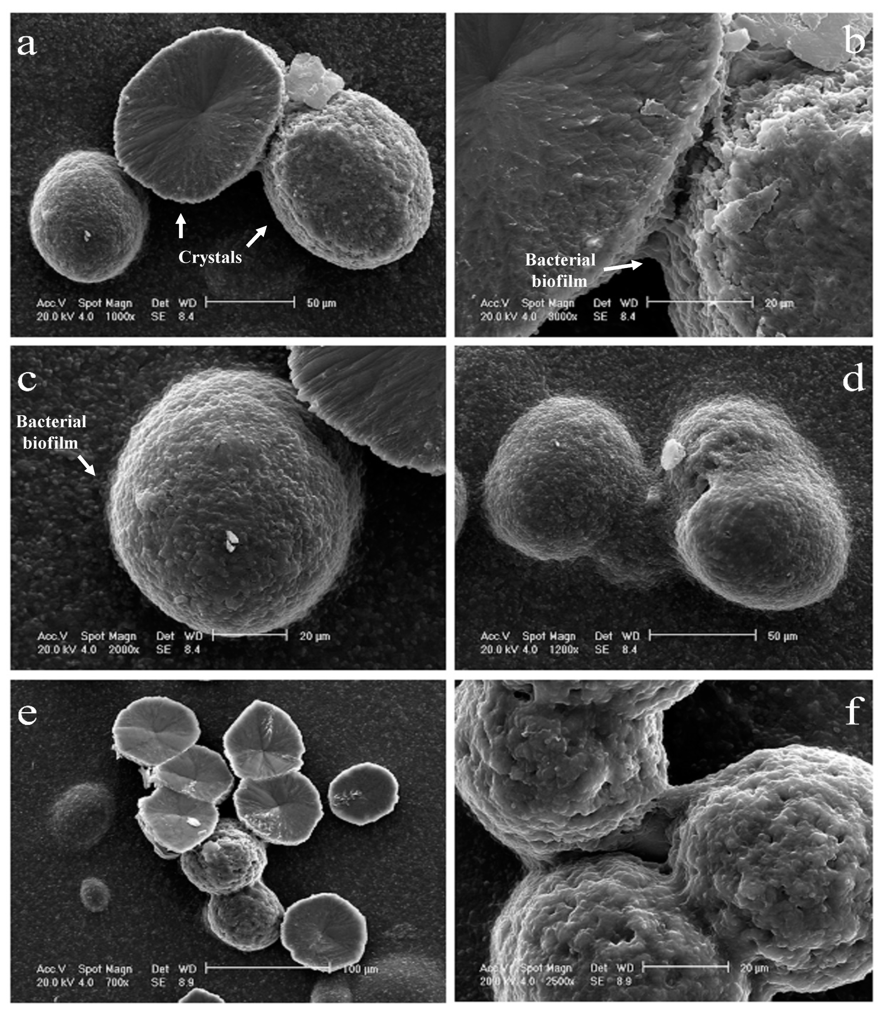 Geosciences 09 00479 g008 Geosciences 09 00479 g008