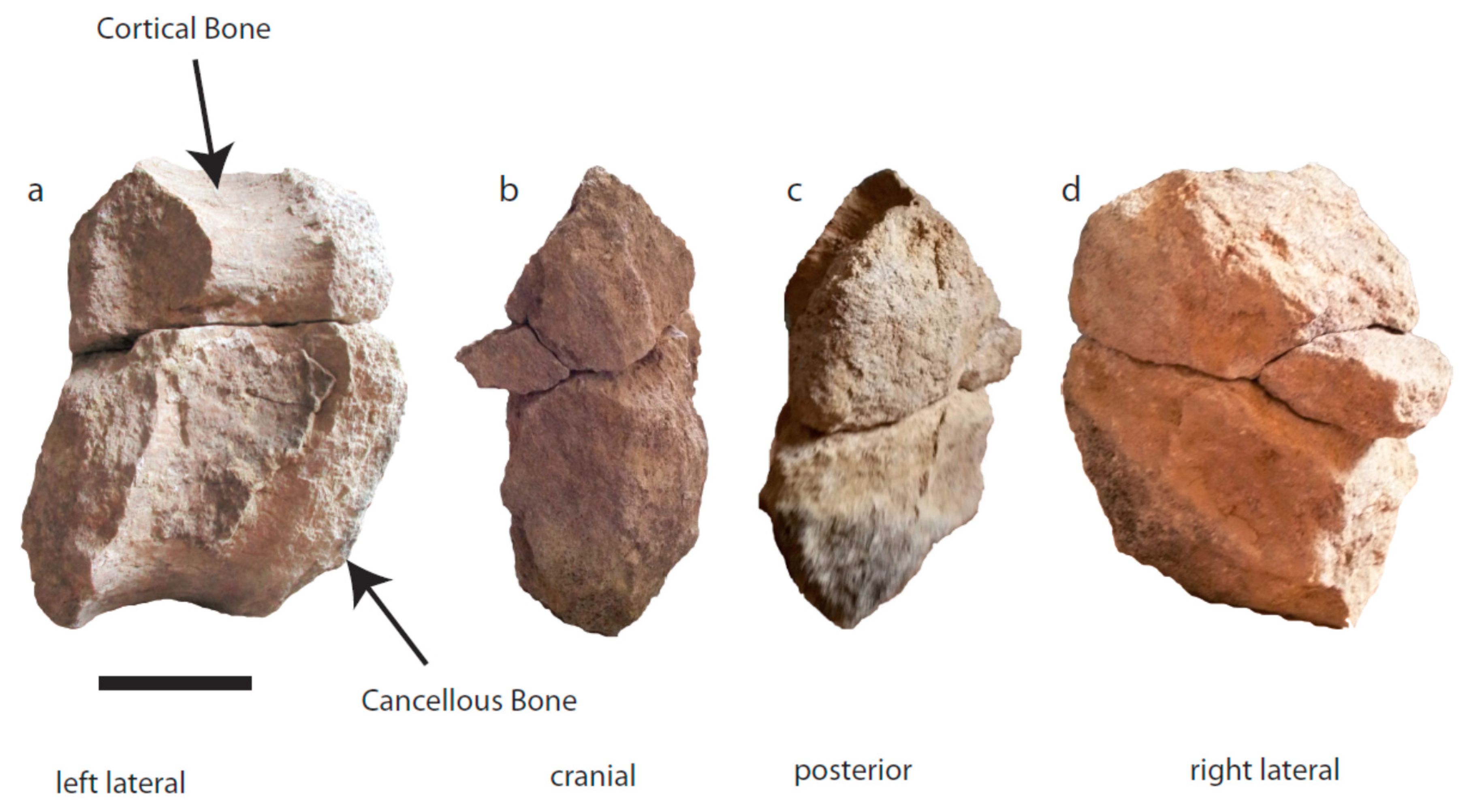 Geosciences 09 00498 g005 550