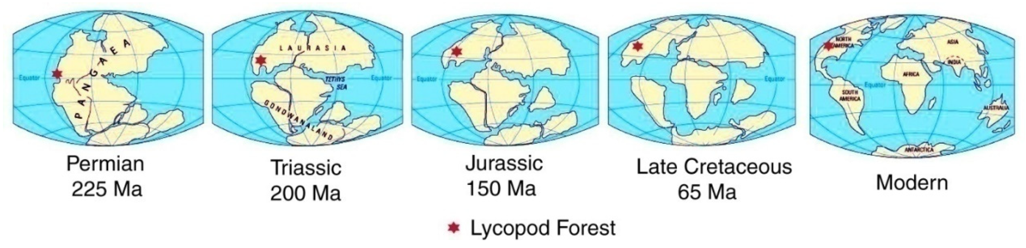 Geosciences 09 00510 g005