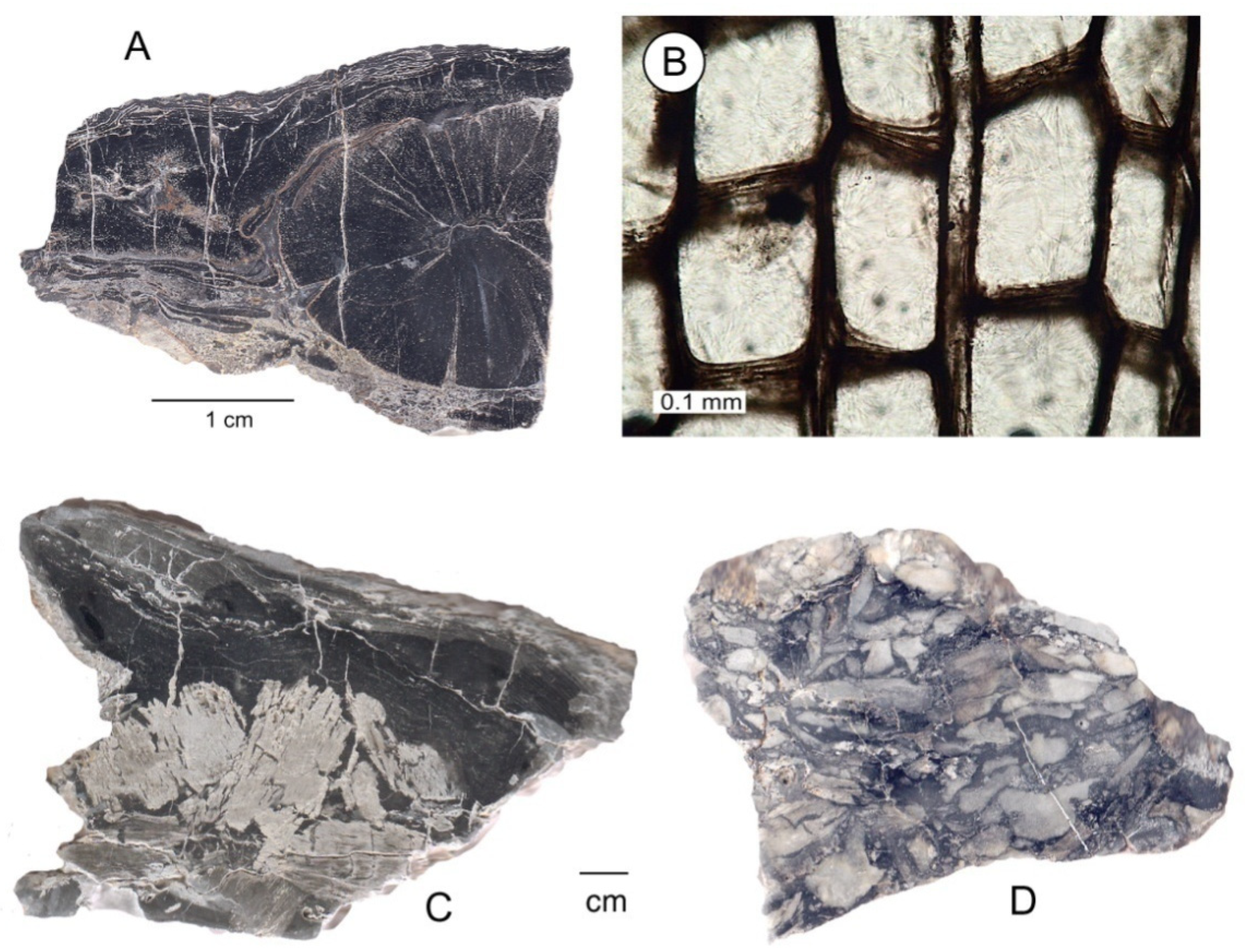 Geosciences 09 00510 g008a