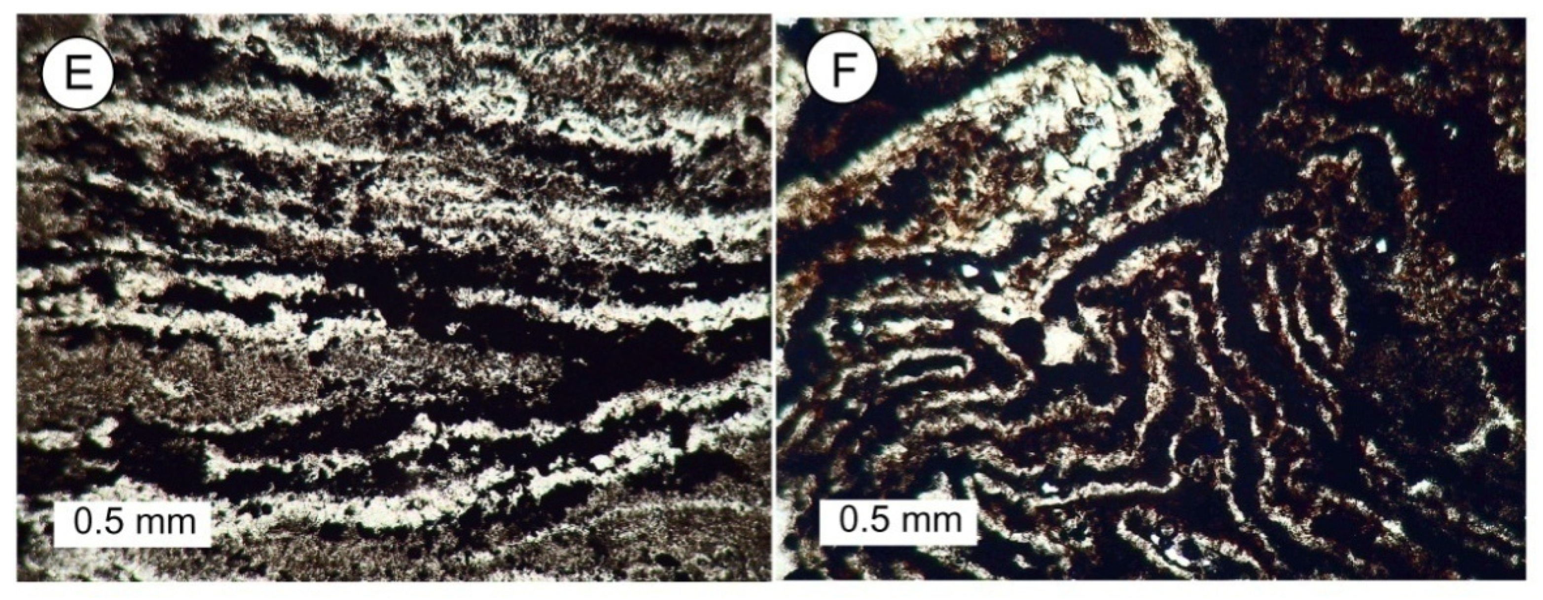 Geosciences 09 00510 g008b