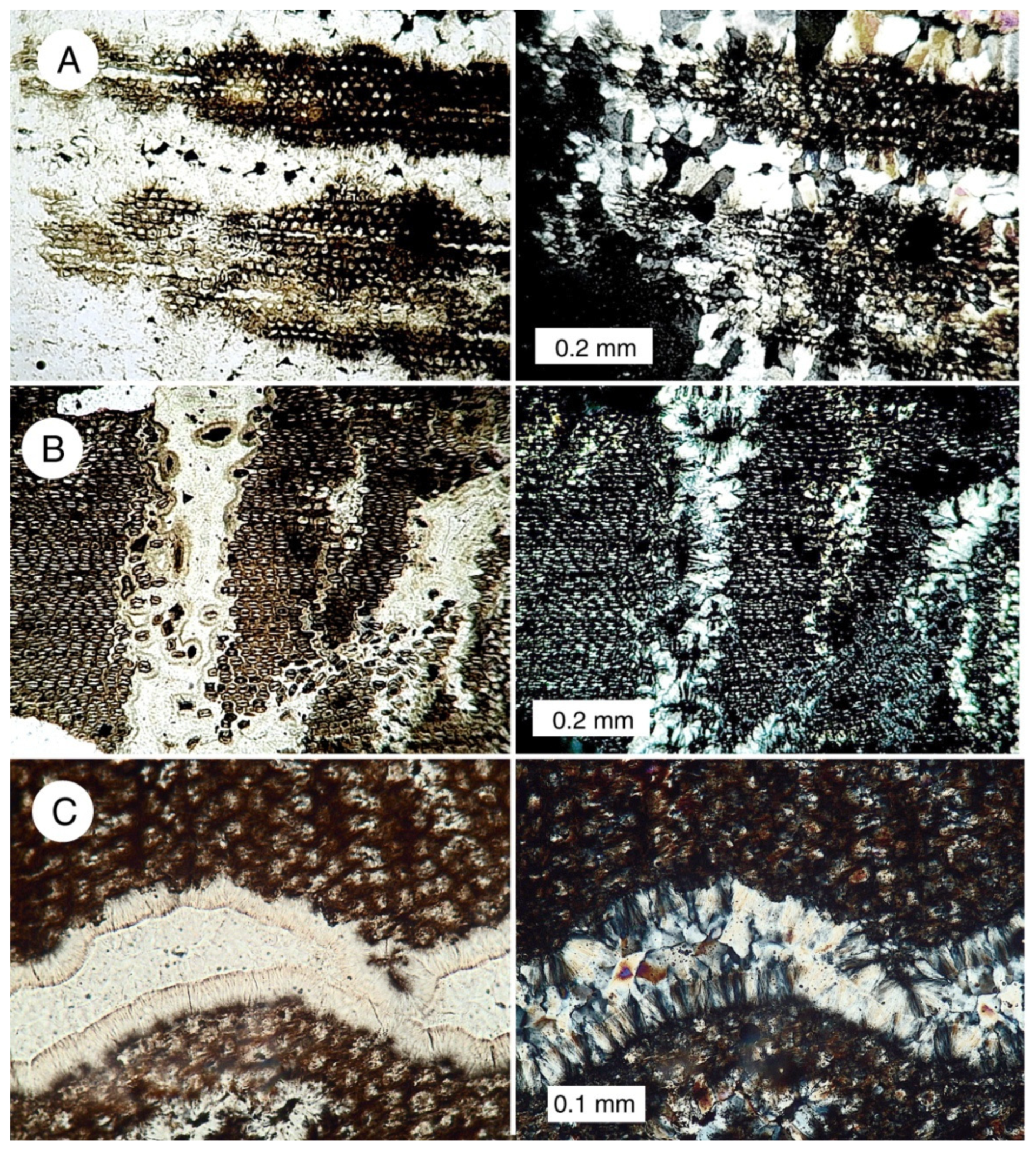 Geosciences 09 00510 g011