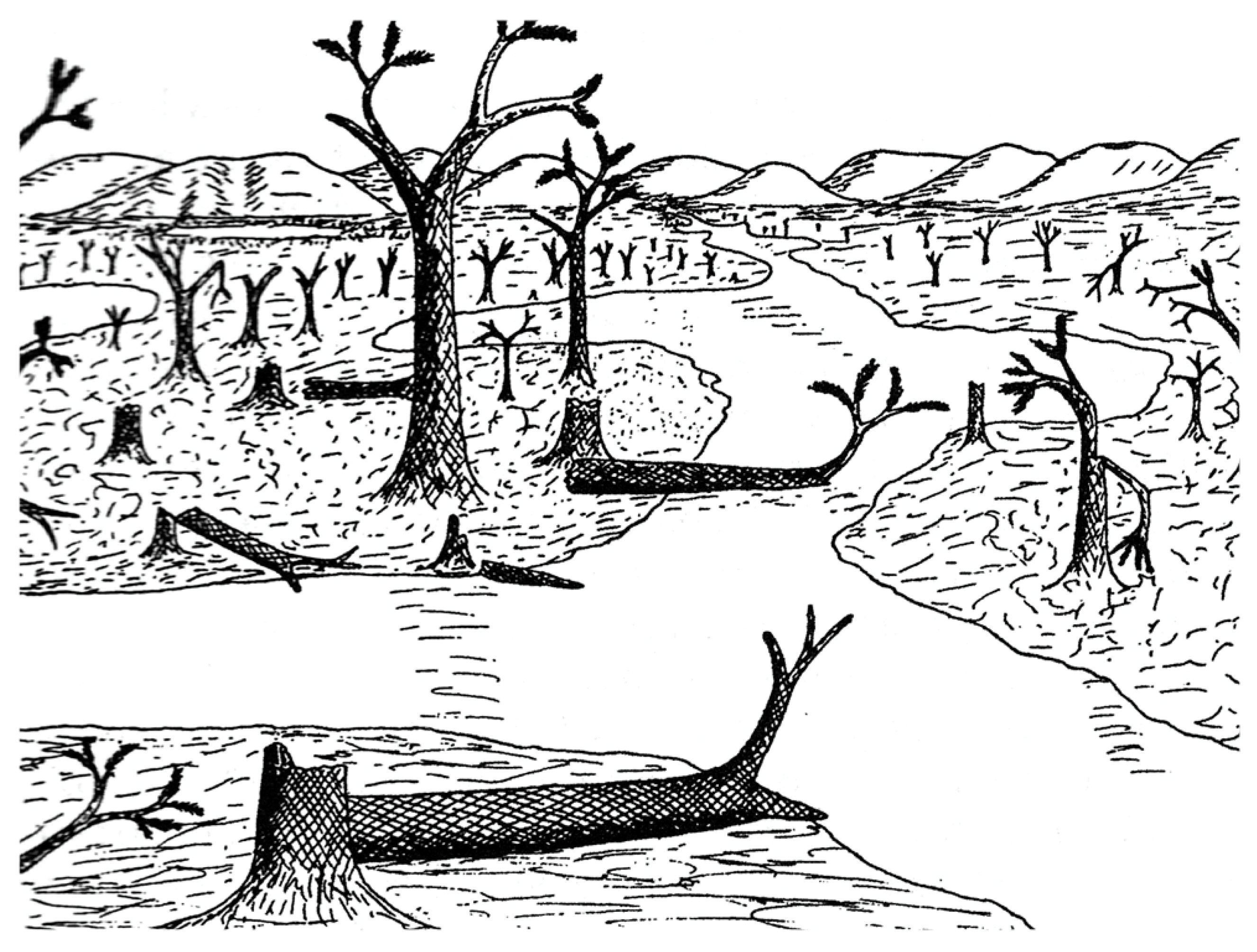 Geosciences 09 00510 g016