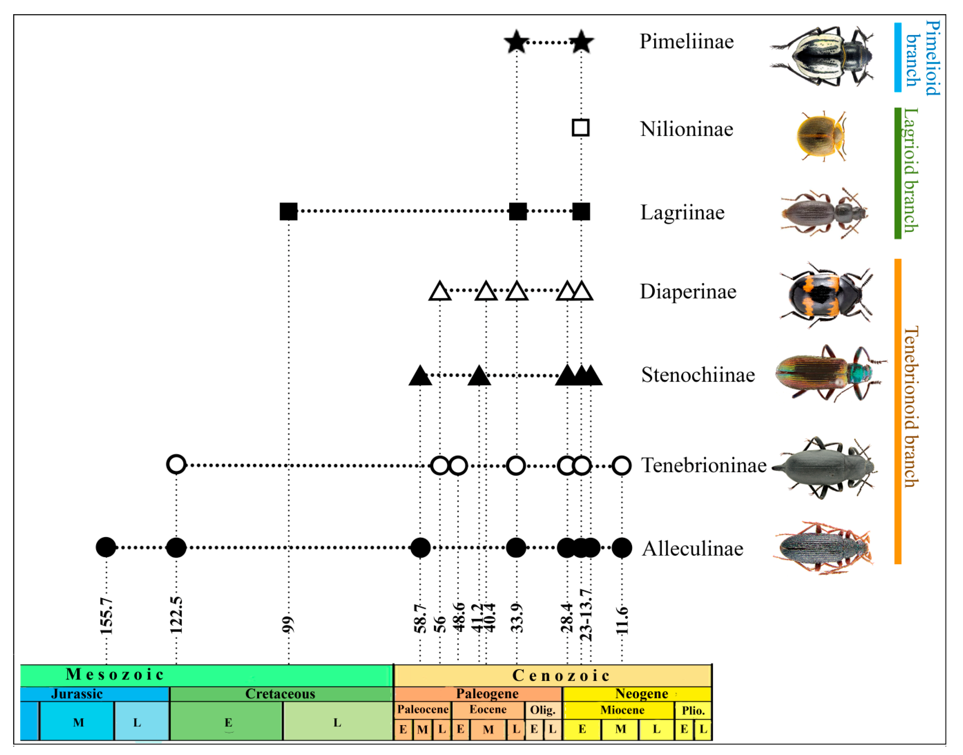 Timeline of entomology since 1900 - Wikiwand