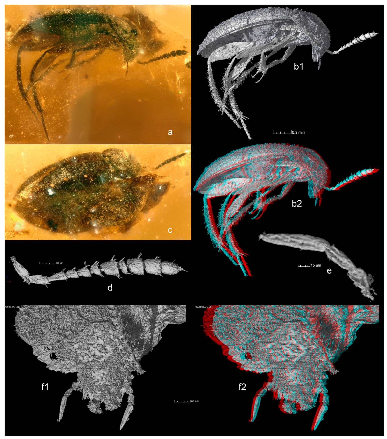Geosciences 09 00521 g001 550