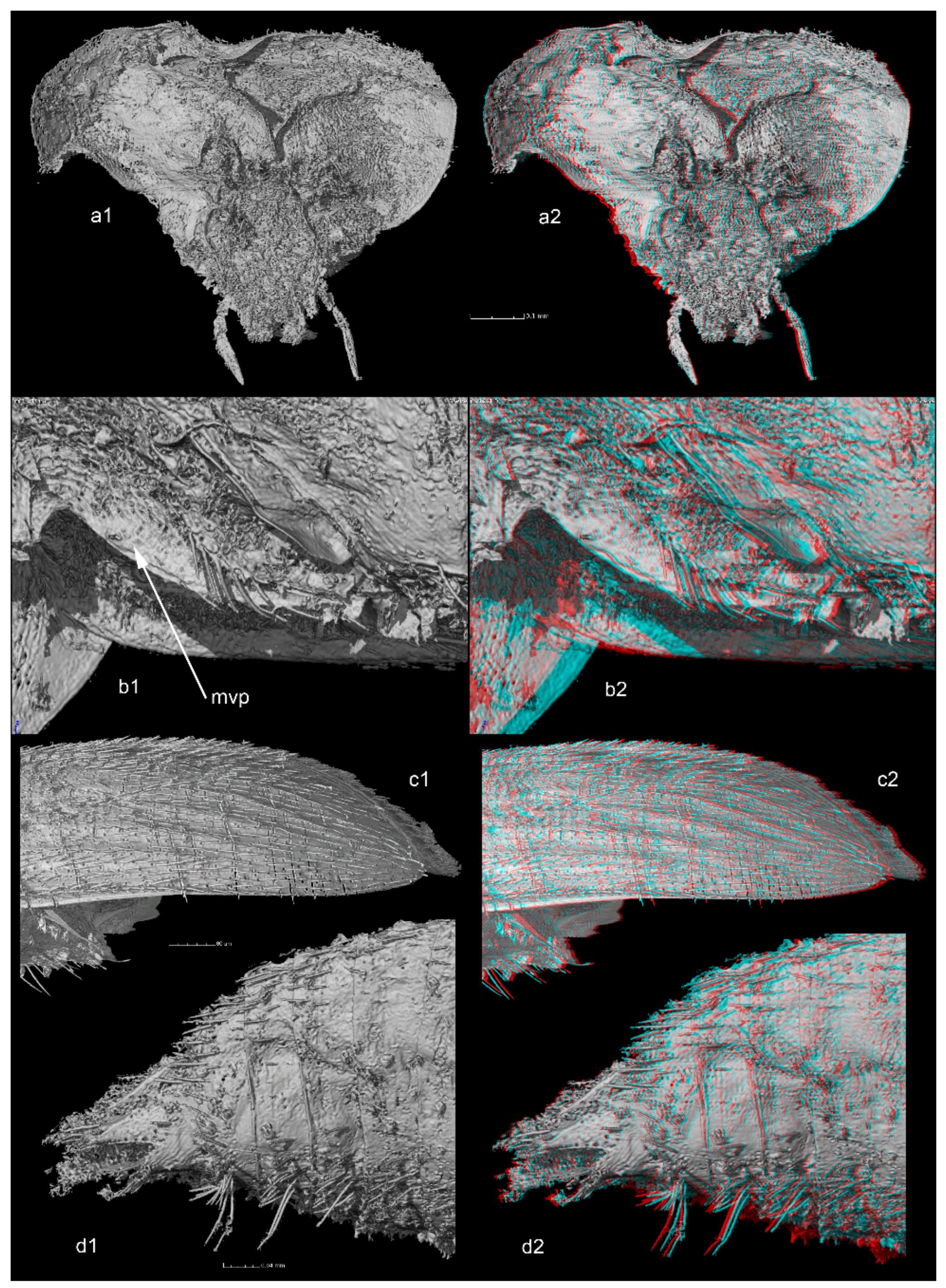Geosciences 09 00521 g002 550