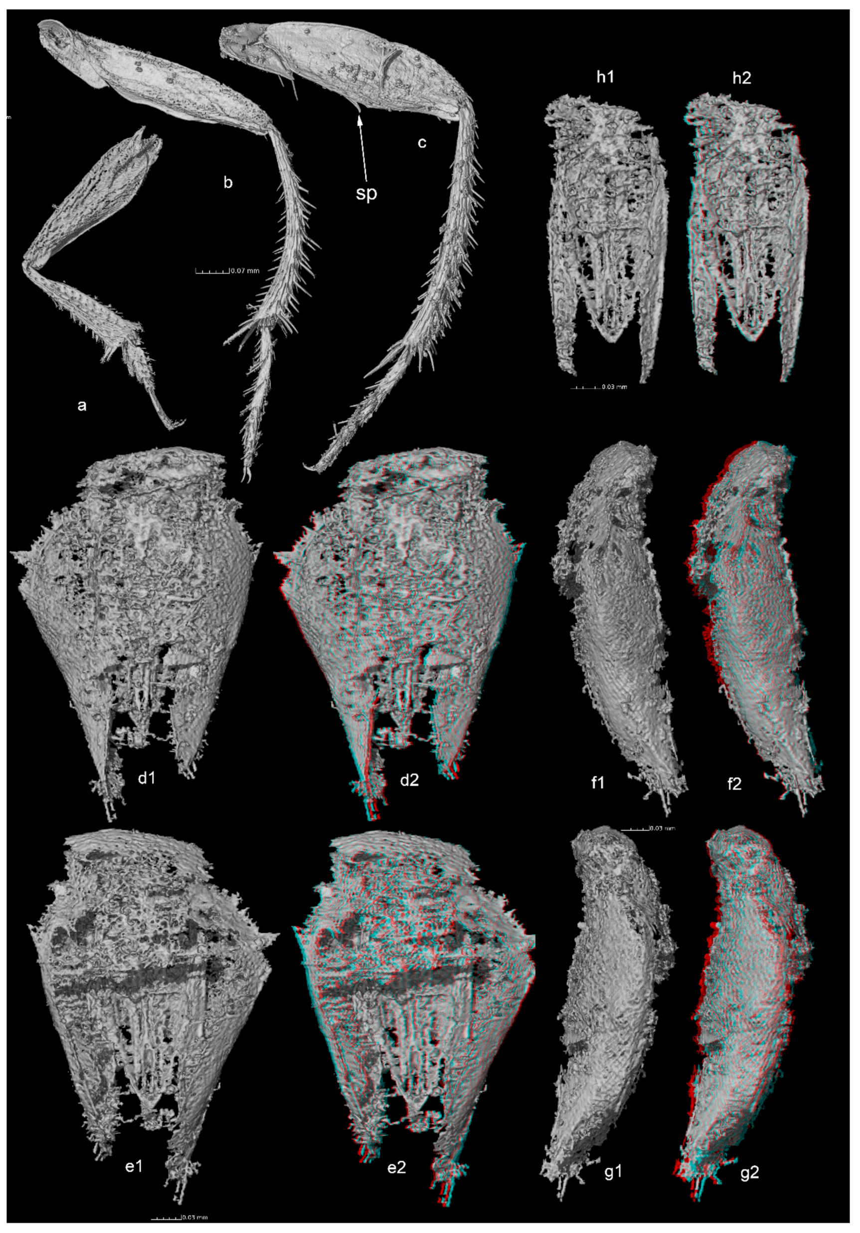 Geosciences 09 00521 g003 550