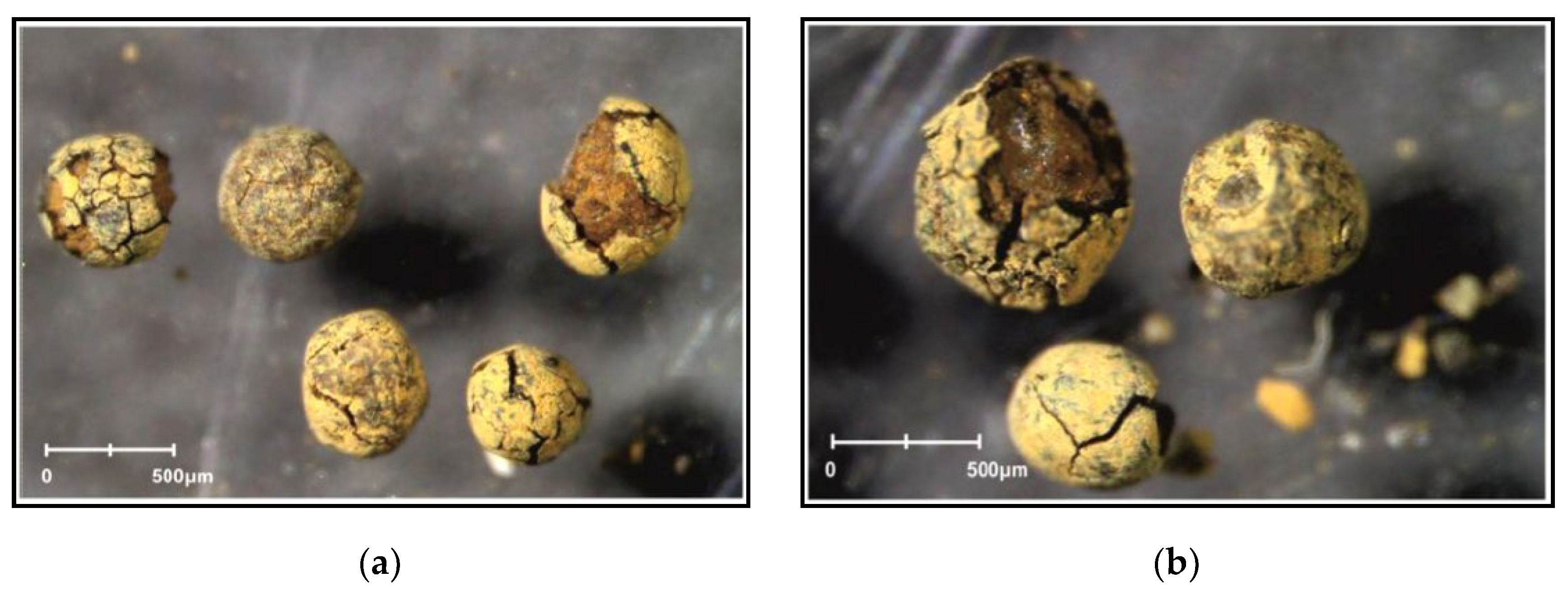 Geosciences 10 00003 g004a