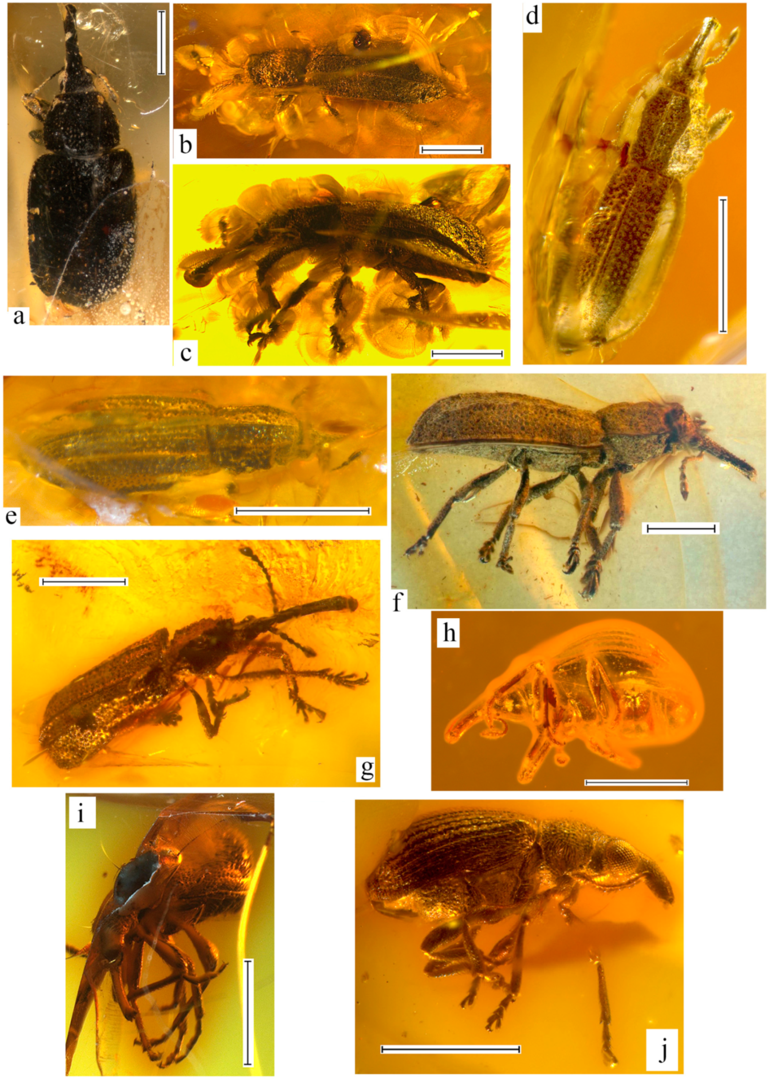 Geosciences 10 00016 g003