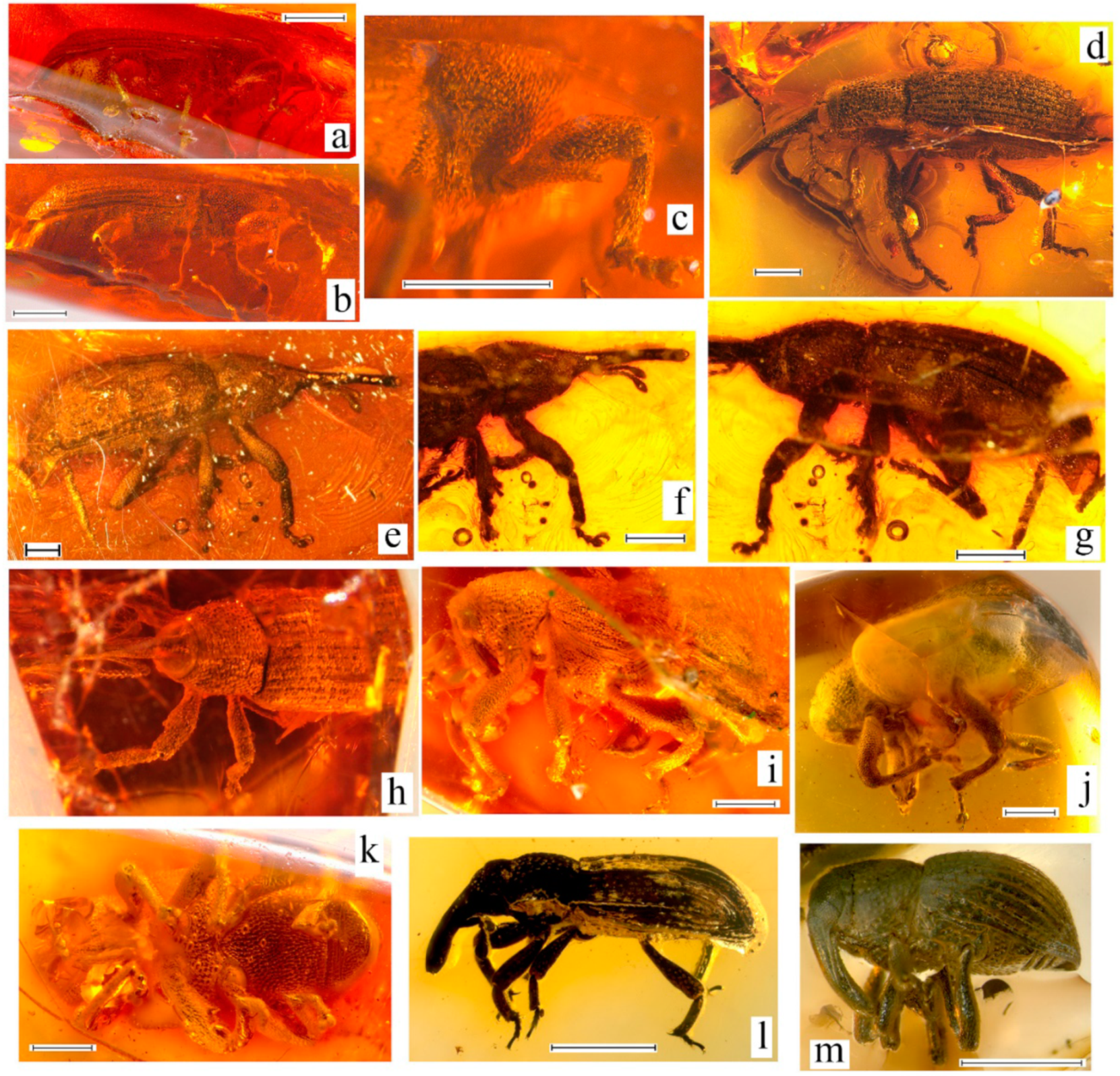 Geosciences 10 00016 g006