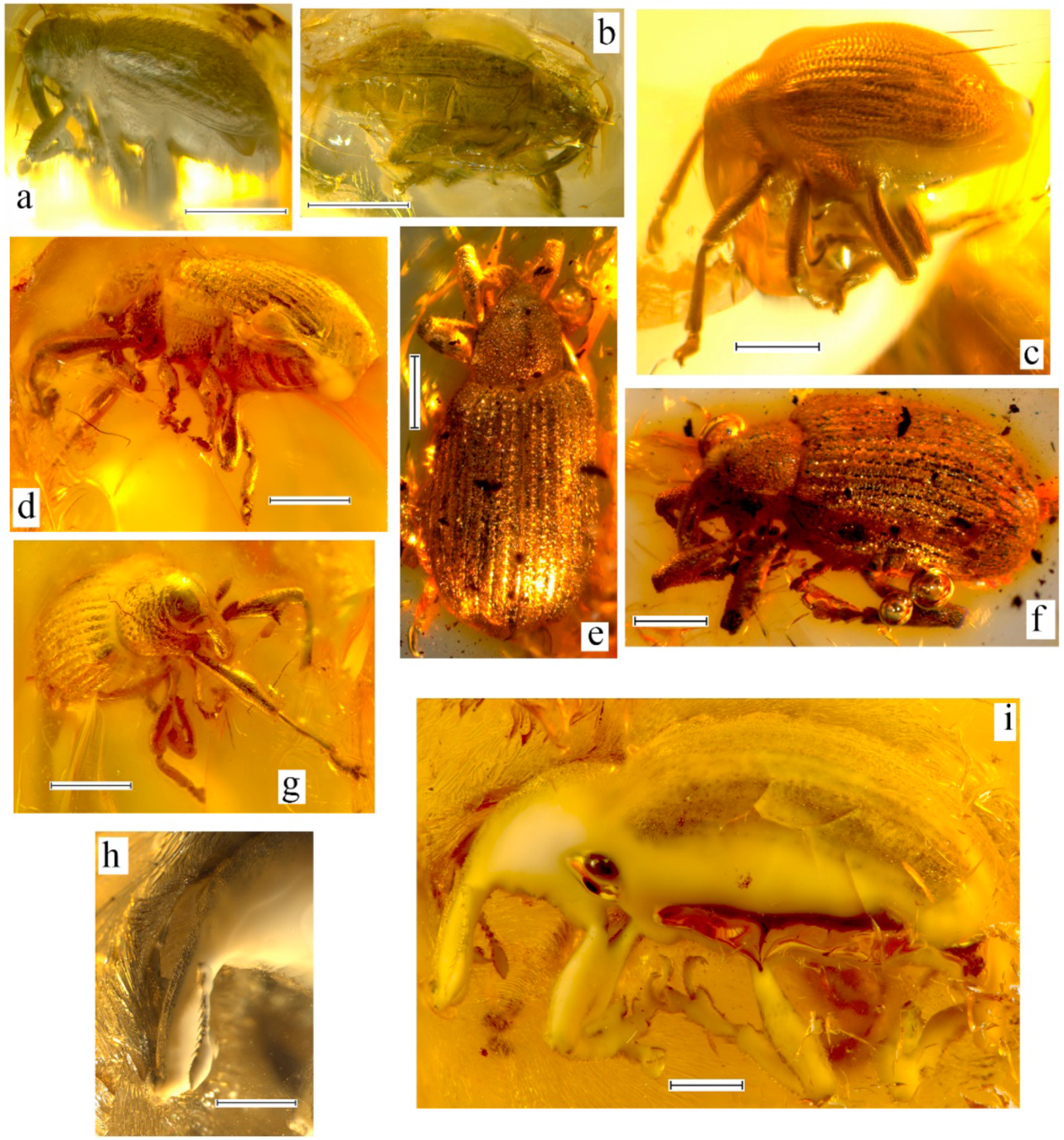 Geosciences 10 00016 g010