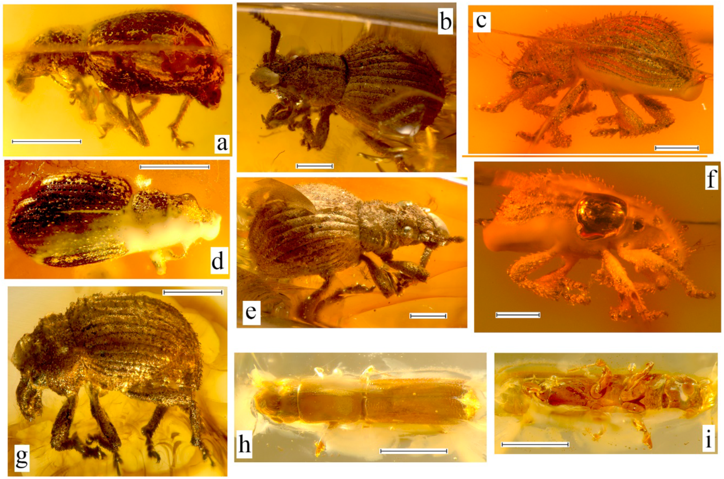 Geosciences 10 00016 g012