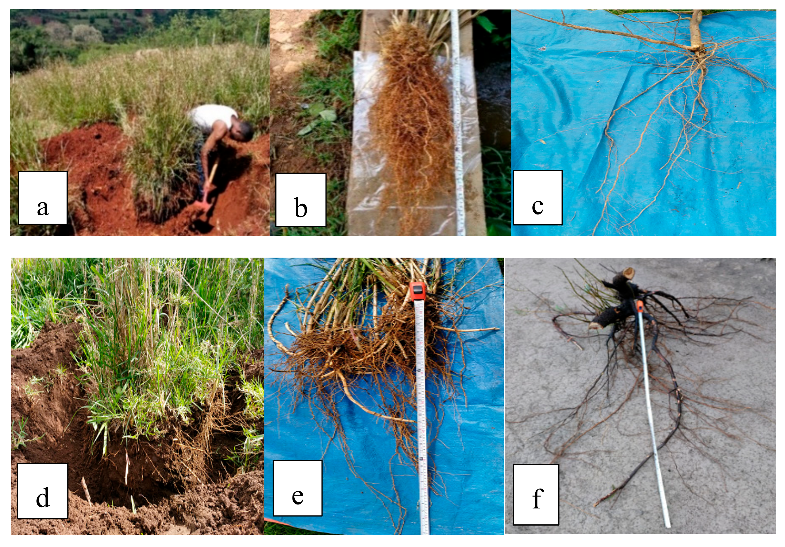 Geosciences 10 00019 g003 Geosciences 10 00019 g003