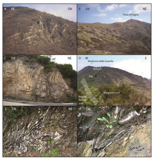 QUELLEN SUCHE グレゴー・レリッシュ Progressive Deformation Patterns from an Accretionary Prism