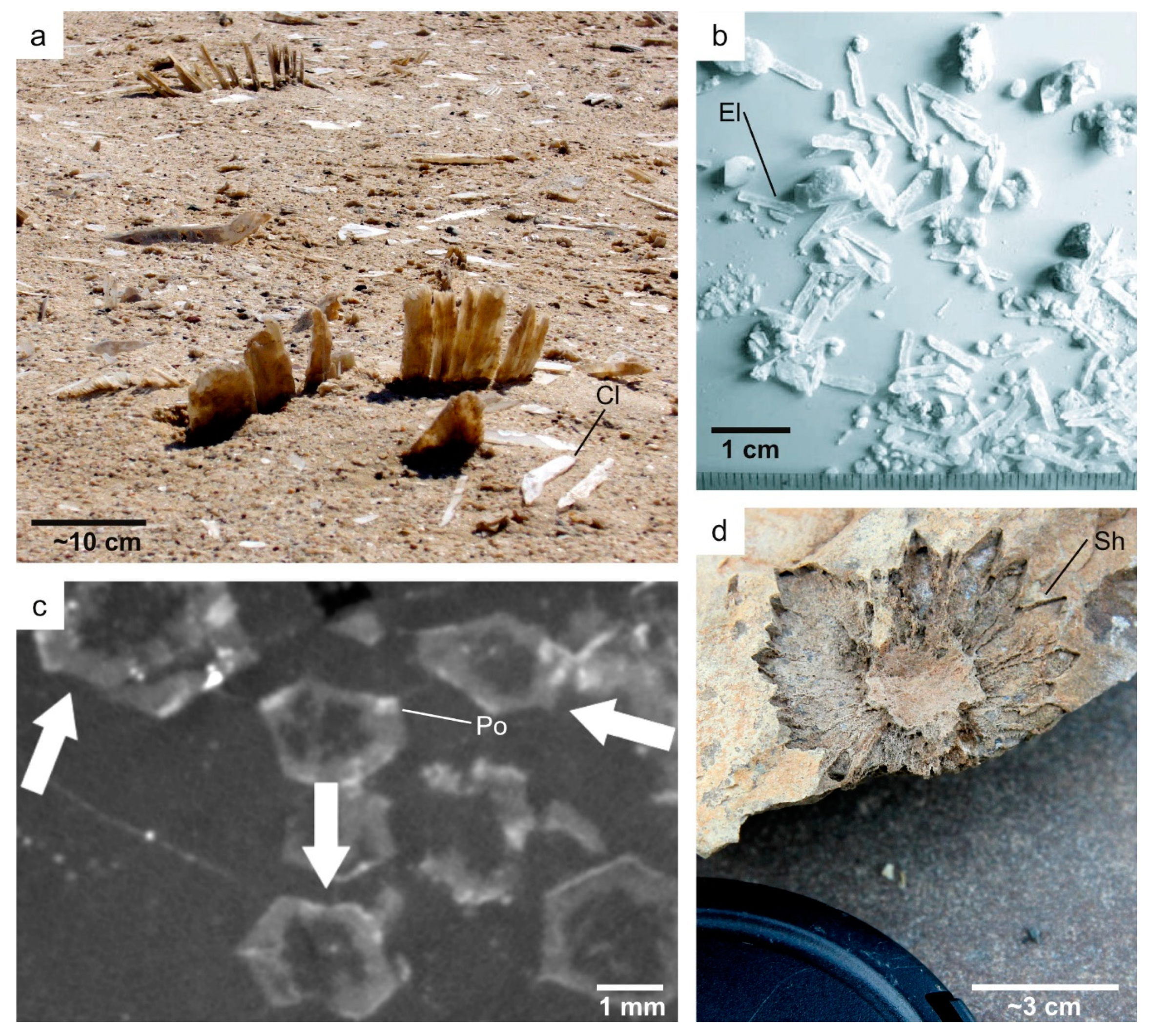Geosciences 10 00039 g004 Geosciences 10 00039 g004