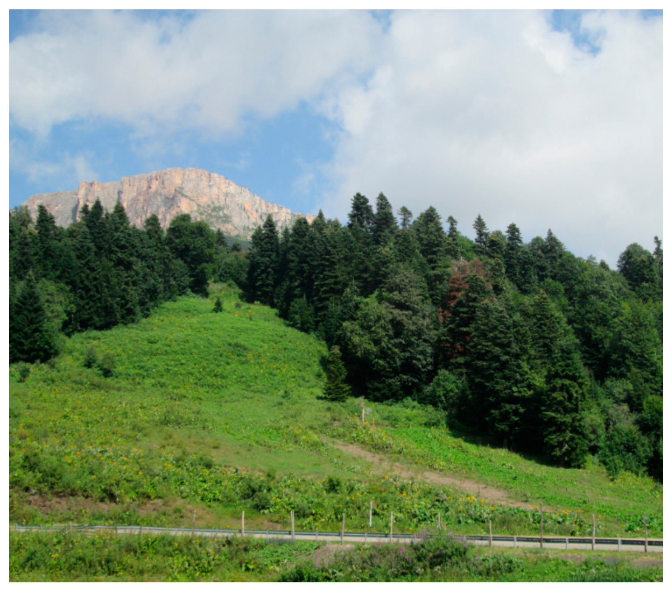 Geosciences 10 00051 g002