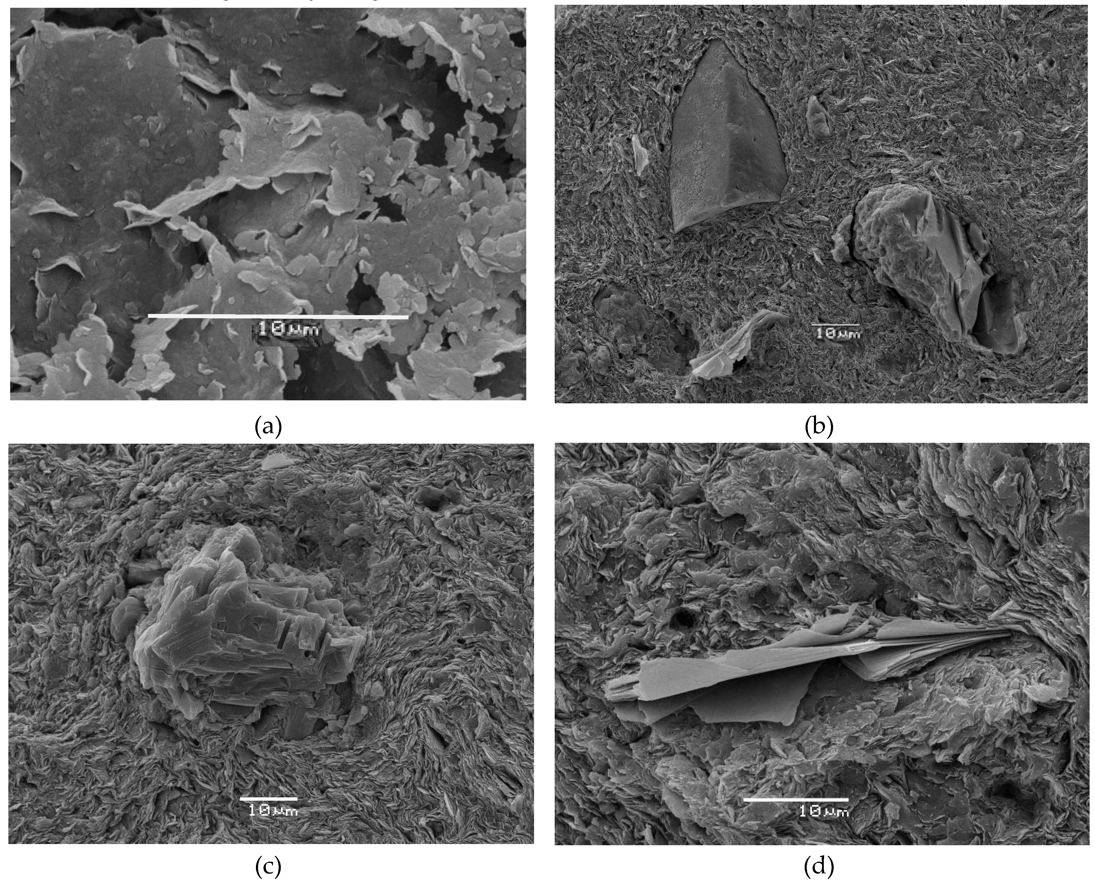 Geosciences 10 00055 g003