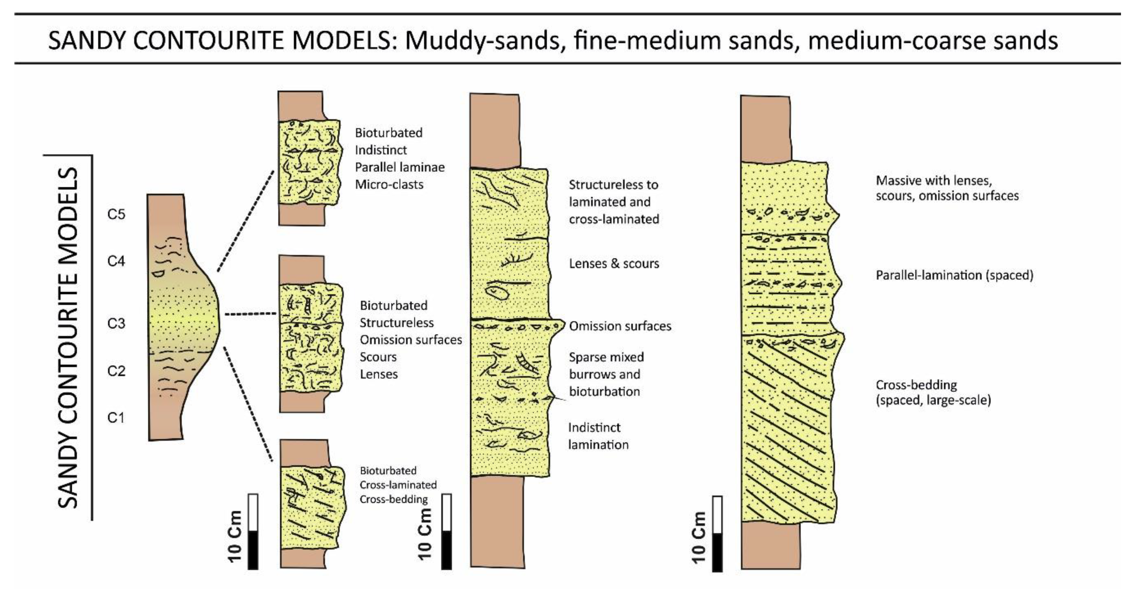 Convolute Bedding Geology Meaning Bruin Blog