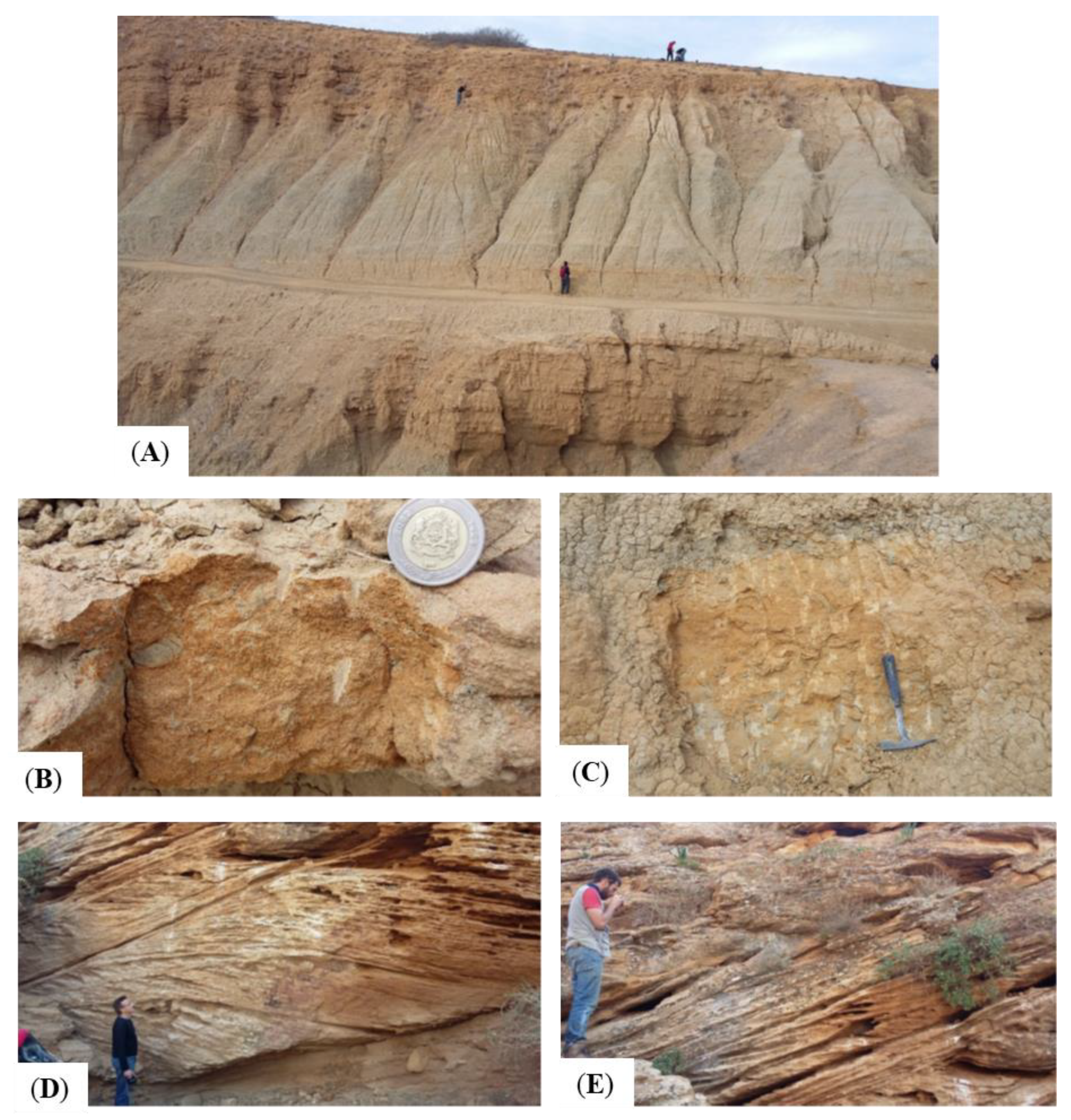Geosciences 10 00068 g016a