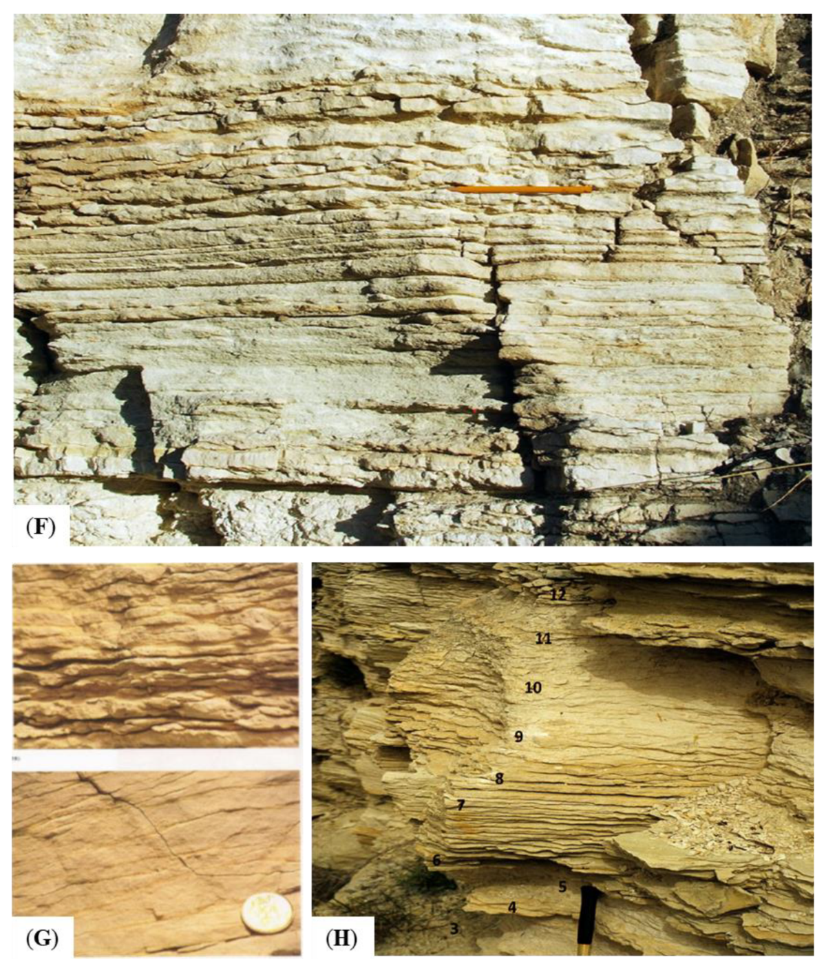 Geosciences 10 00068 g016b