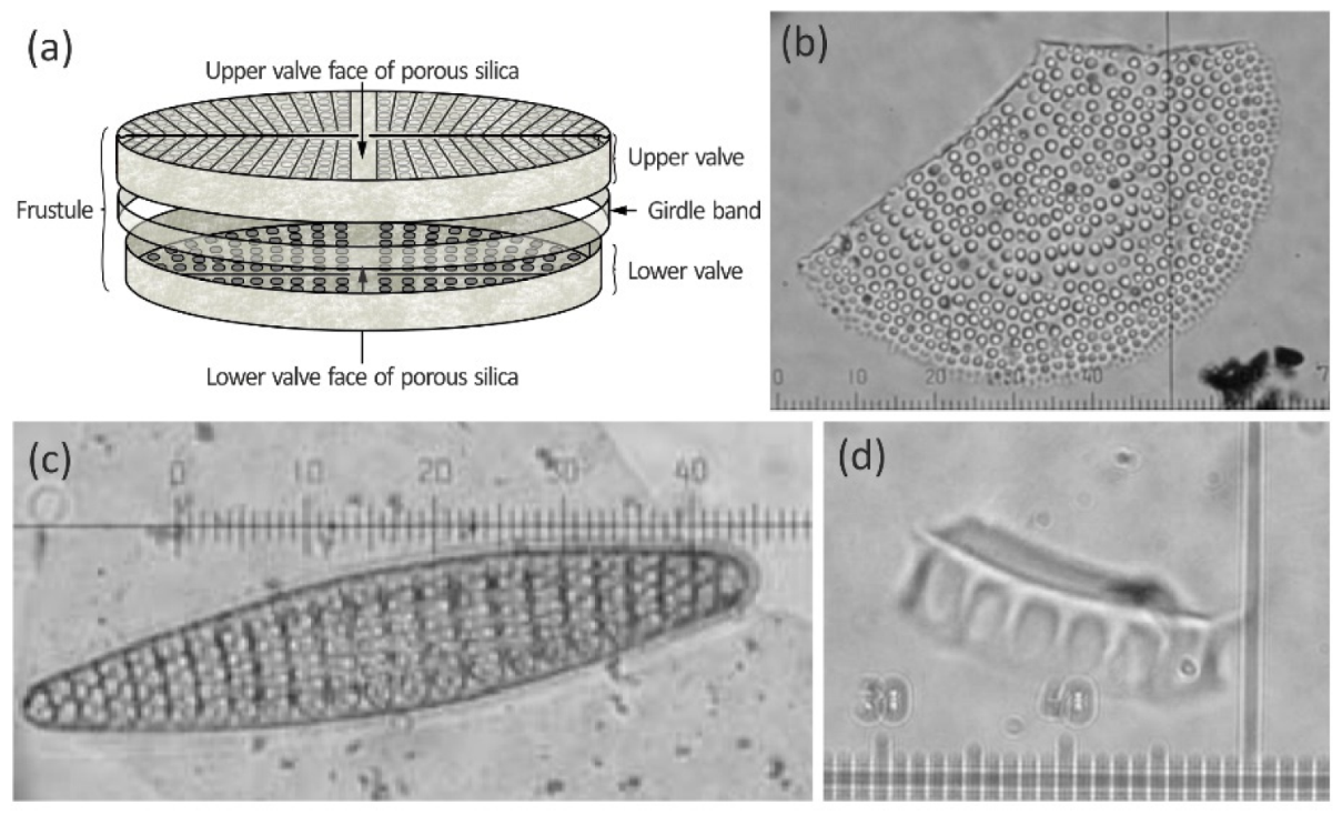 Geosciences 10 00087 g003 Geosciences 10 00087 g003