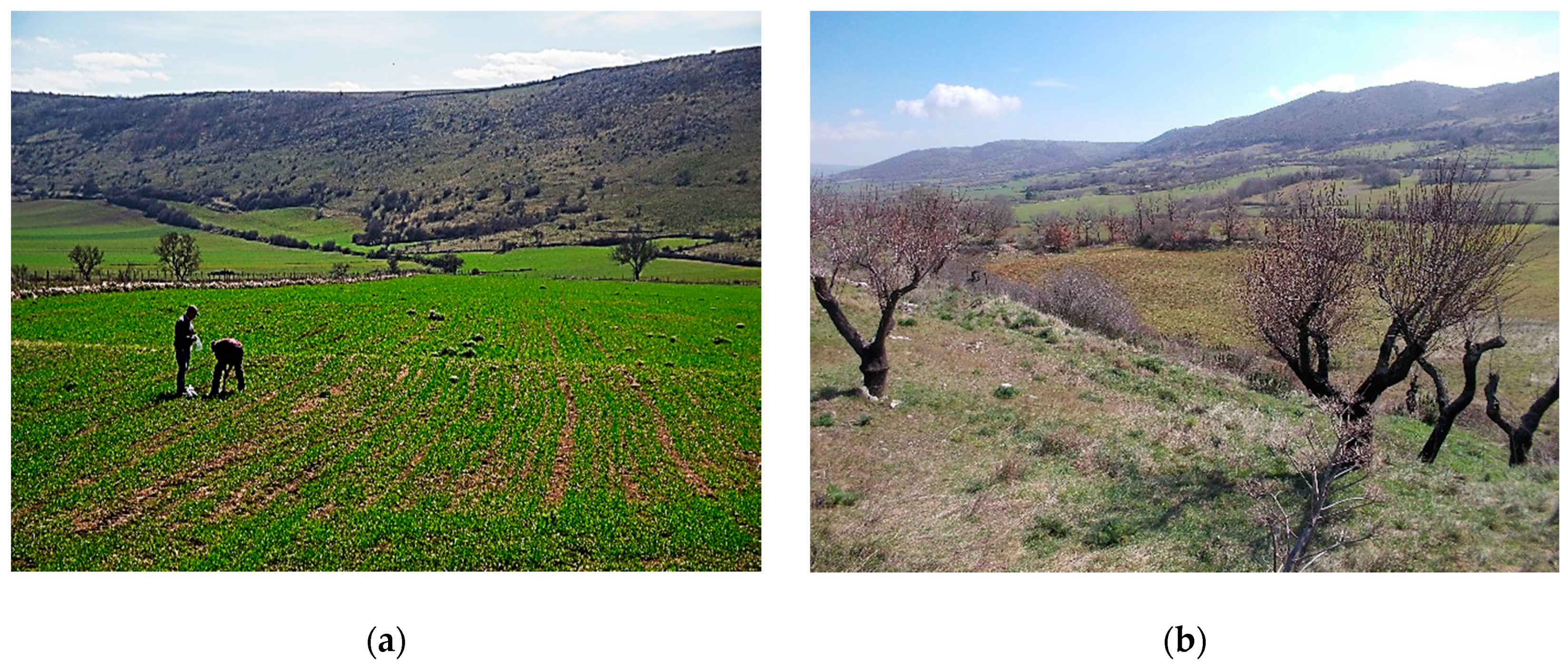 Geosciences 10 00089 g003