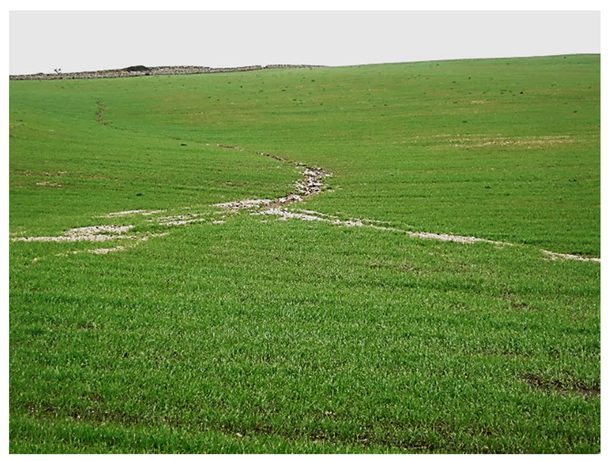 Geosciences 10 00089 g015