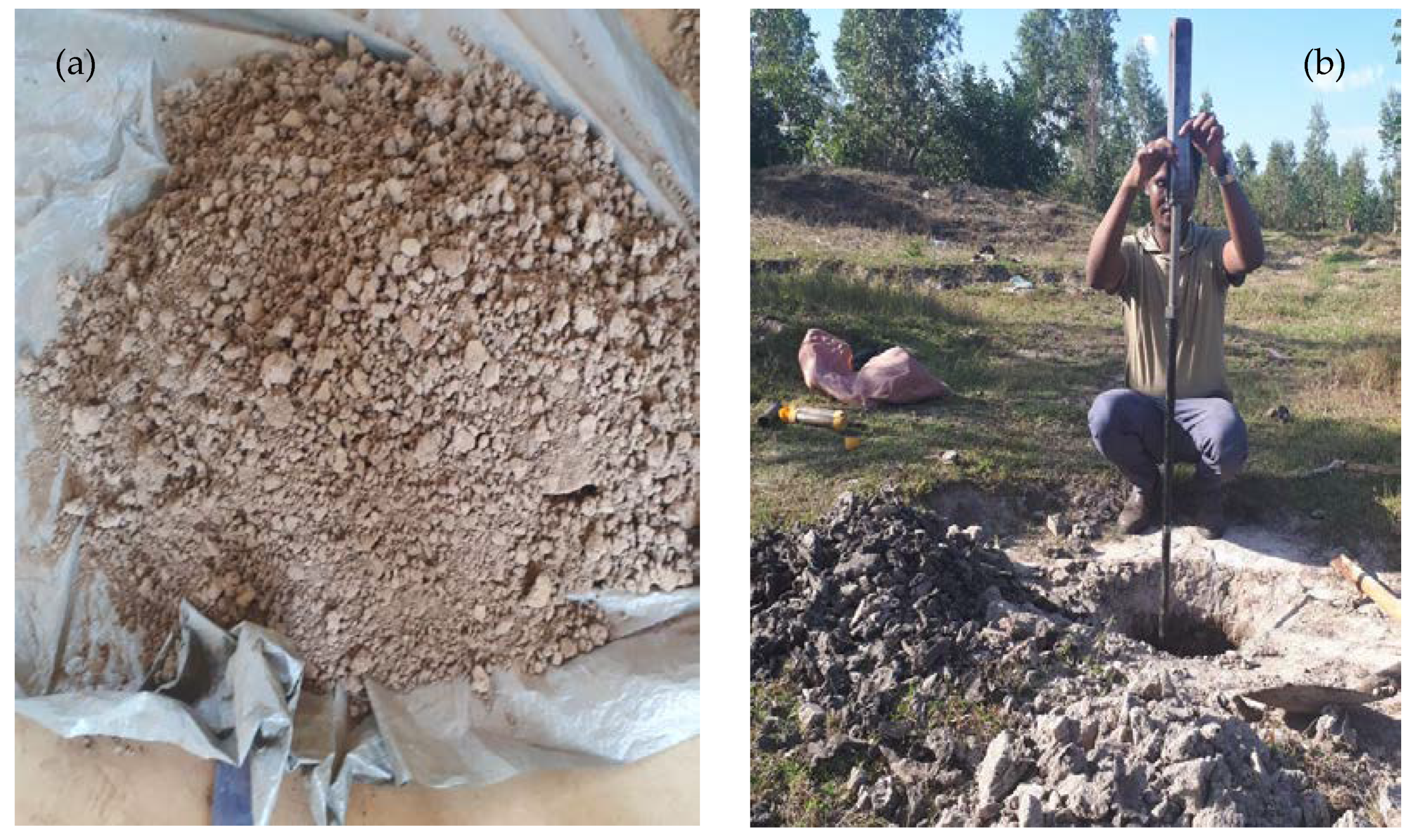 soil sampling based on disturbed and undisturbed sampling