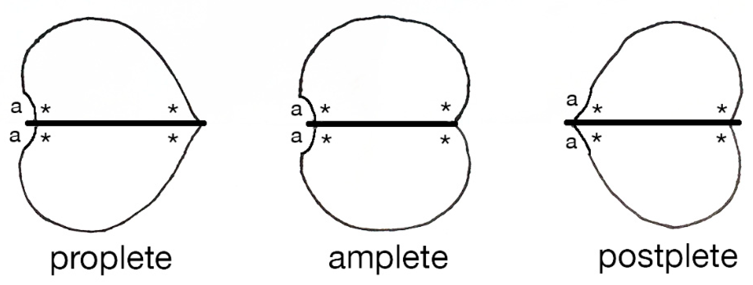 Geosciences 10 00119 g003