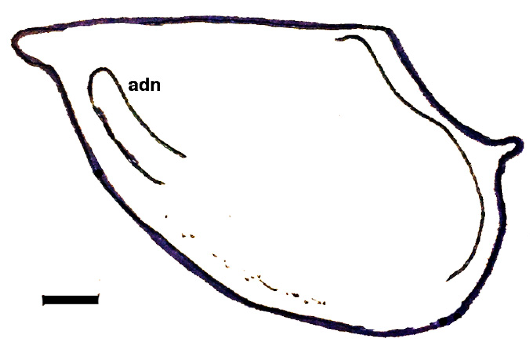 Geosciences 10 00119 g018