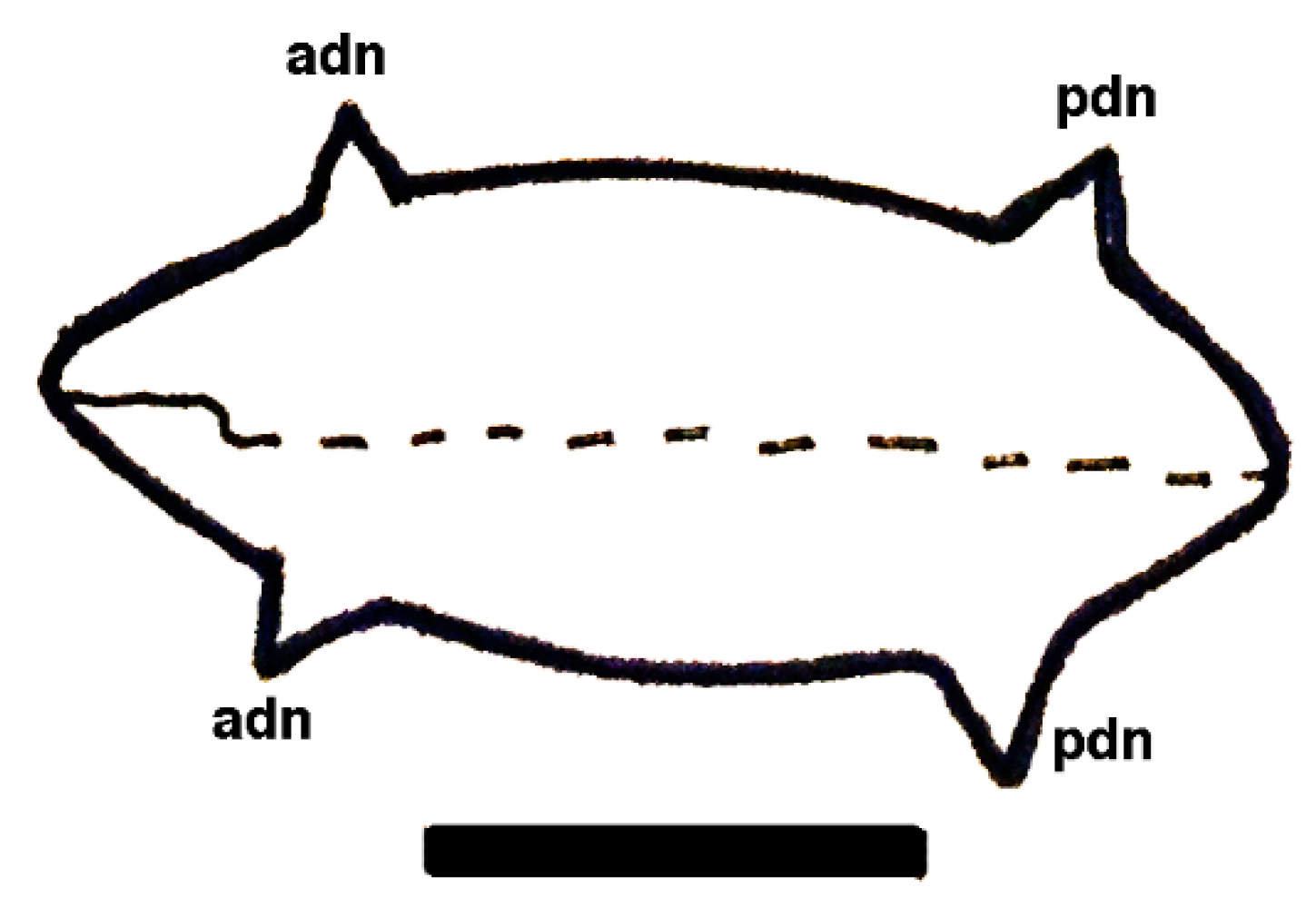 Geosciences 10 00119 g029