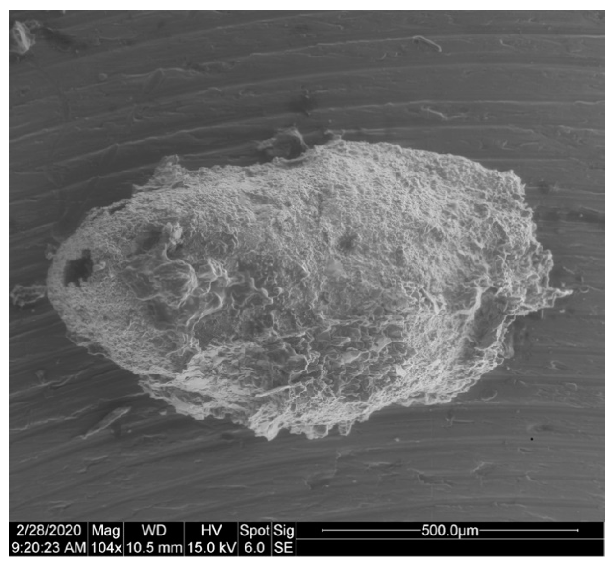 Geosciences 10 00119 g038