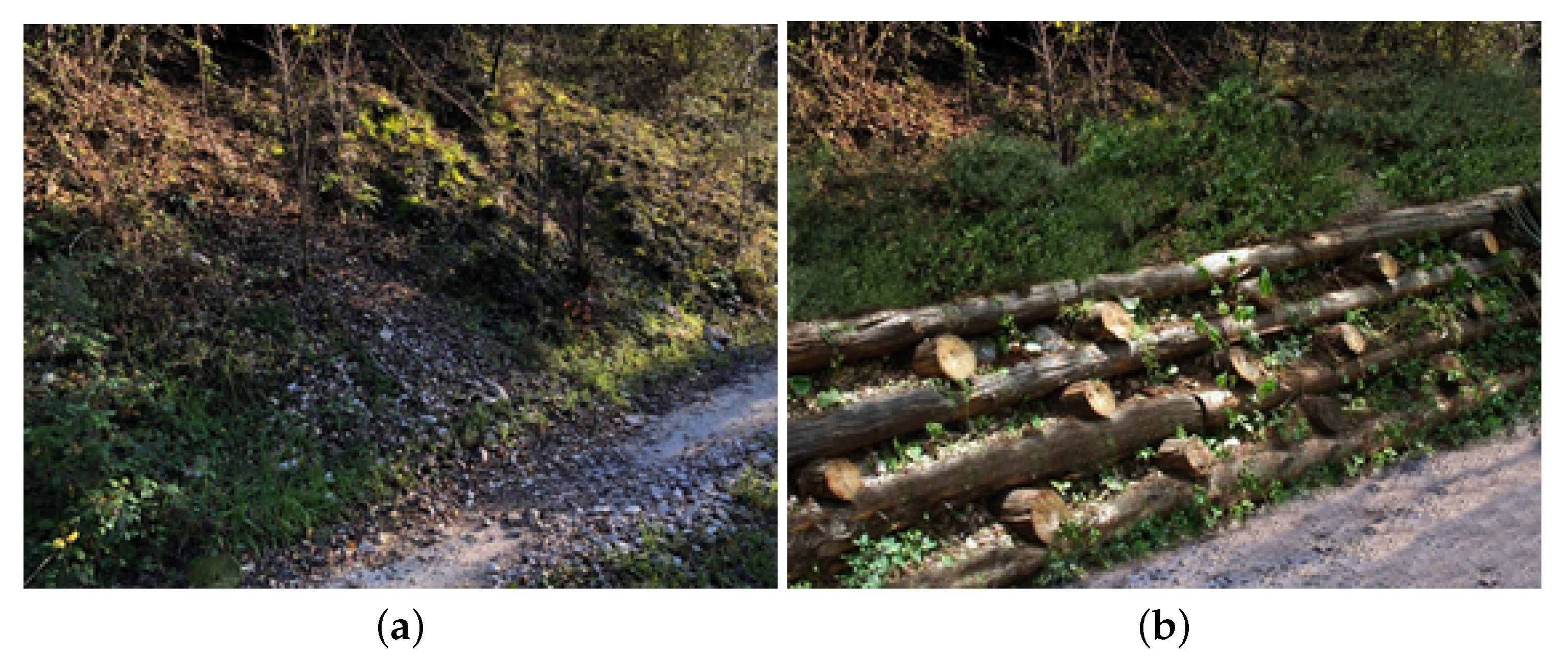 Geosciences 10 00130 g008