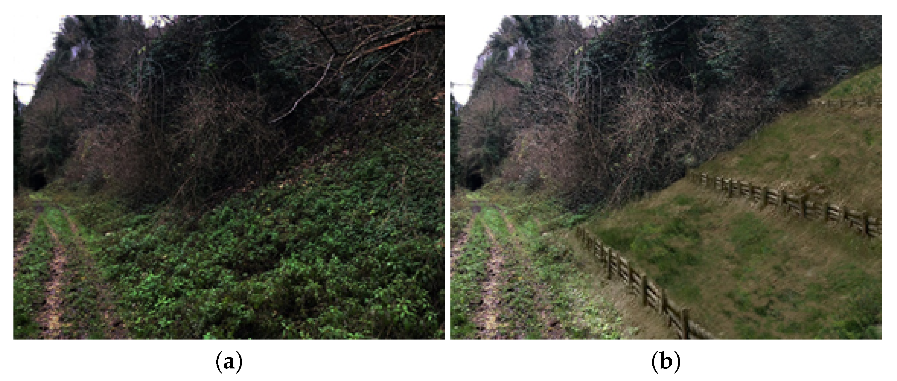 Geosciences 10 00130 g010