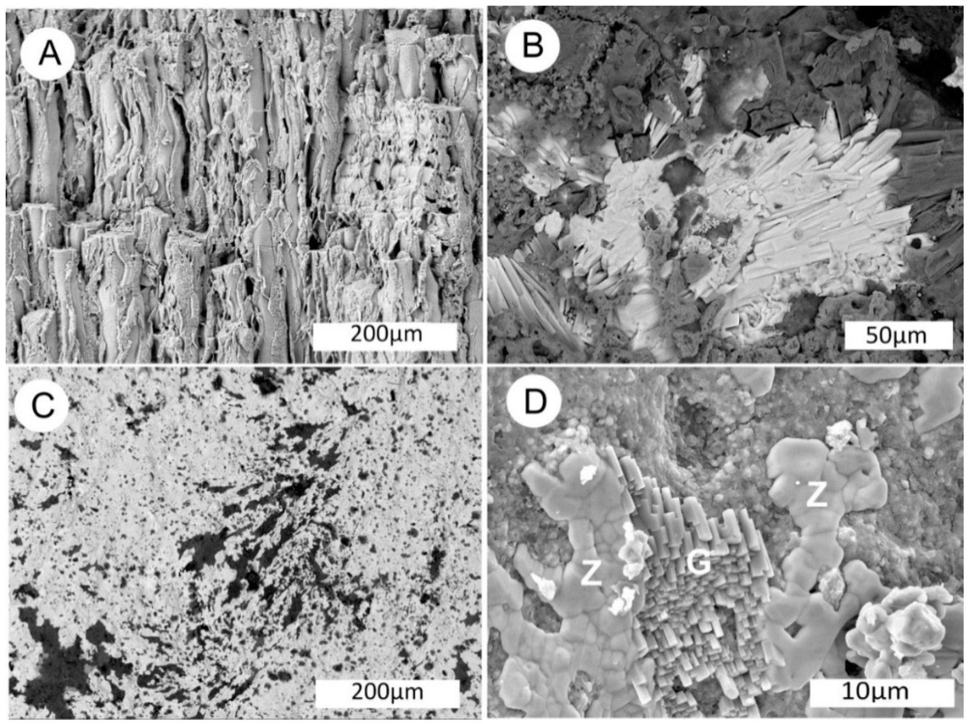 Geosciences 10 00133 g011