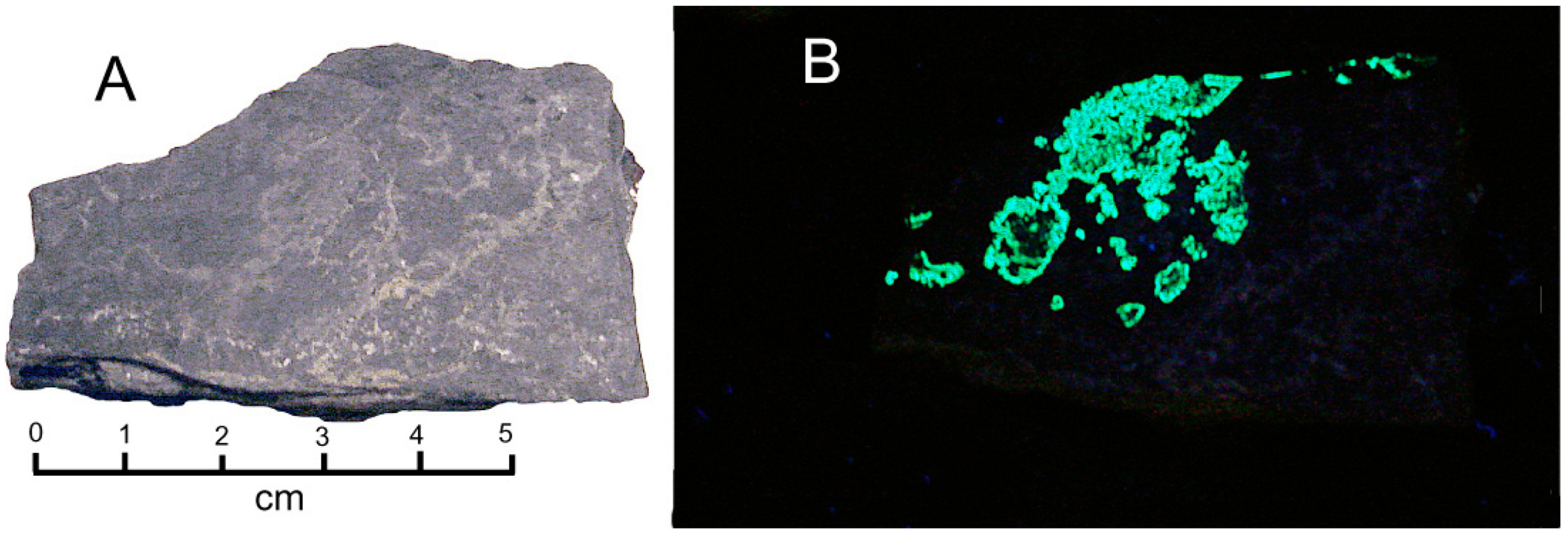 Geosciences 10 00133 g013